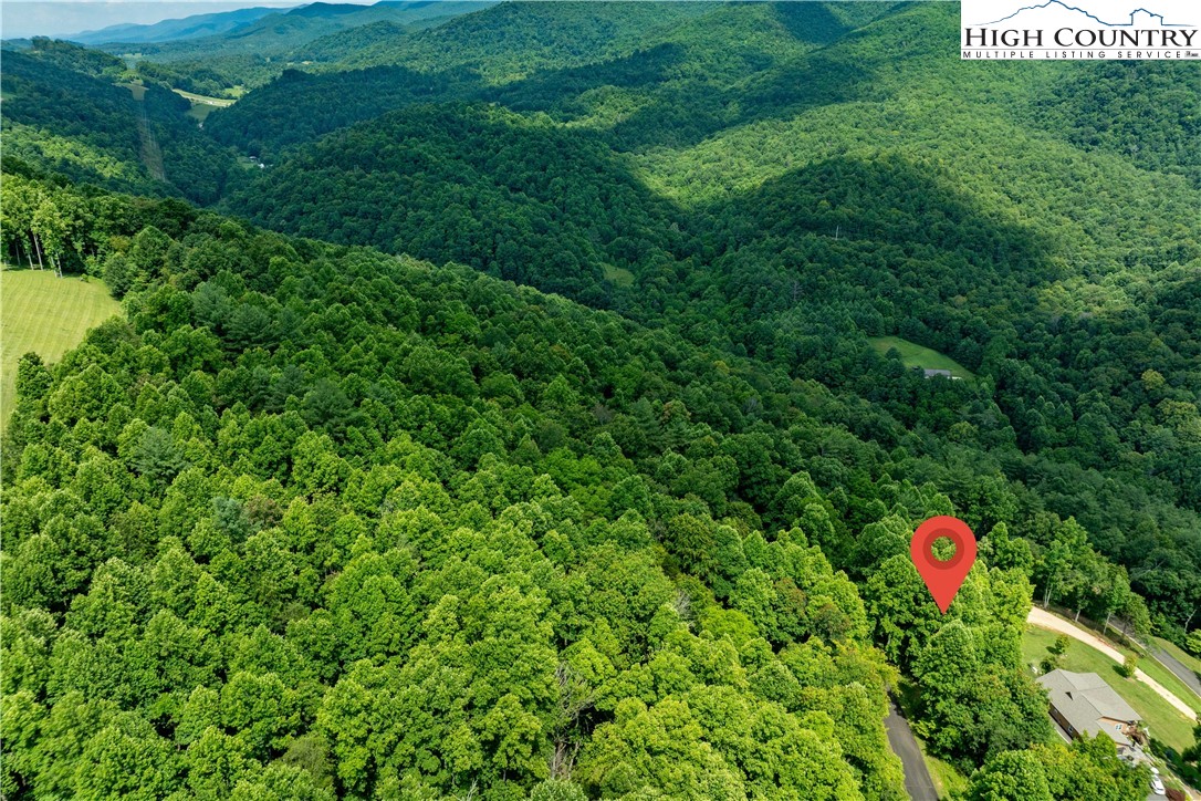 Lot 20 Lake Ridge Butler, TN 37640 - Photo 19 of 27 a backyard of a house with lots of green space and two plants