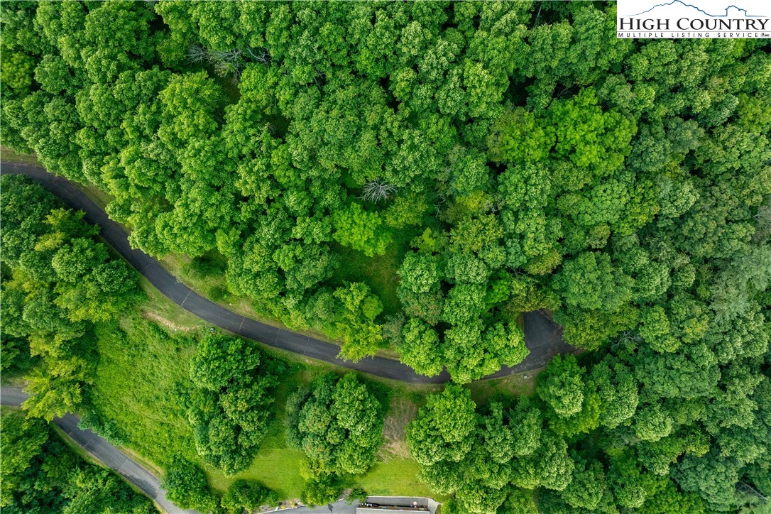 Lot 20 Lake Ridge Butler, TN 37640 - Photo 2 of 27 a lush green forest with lots of trees