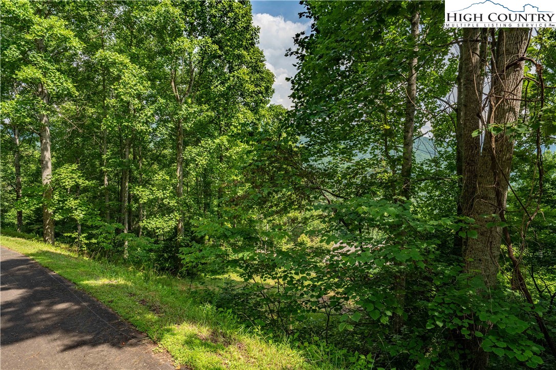 Lot 20 Lake Ridge Butler, TN 37640 - Photo 24 of 27 a view of a yard with plants and tree