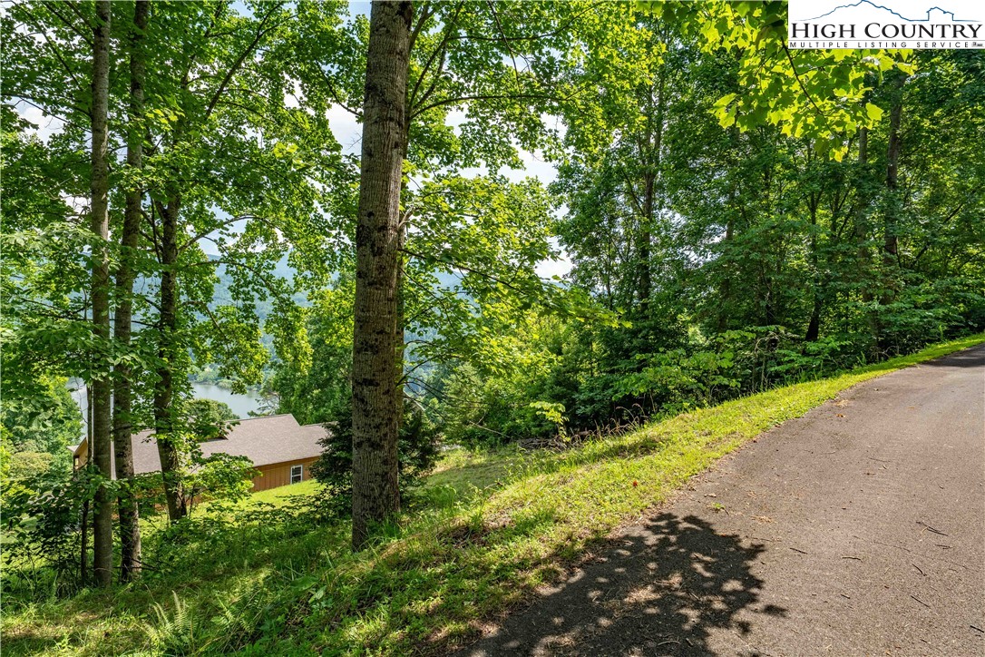 Lot 20 Lake Ridge Butler, TN 37640 - Photo 25 of 27 a view of a garden with plants