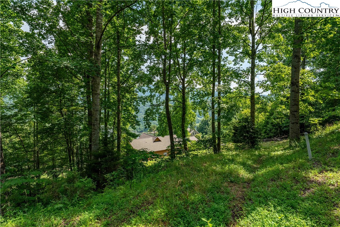 Lot 20 Lake Ridge Butler, TN 37640 - Photo 26 of 27 a view of a forest with a trees