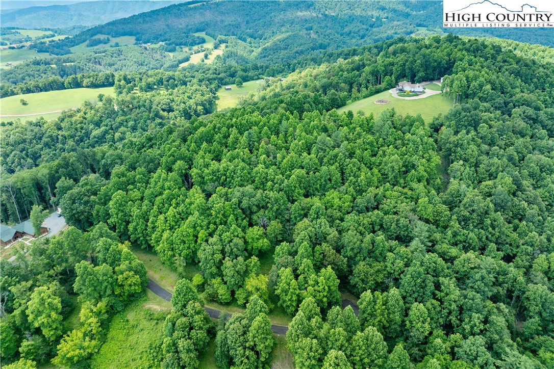 Lot 20 Lake Ridge Butler, TN 37640 - Photo 4 of 27 a view of a garden with a building