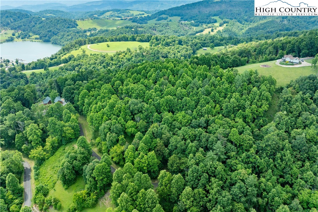 Lot 20 Lake Ridge Butler, TN 37640 - Photo 6 of 27 a view of a green field with an ocean view