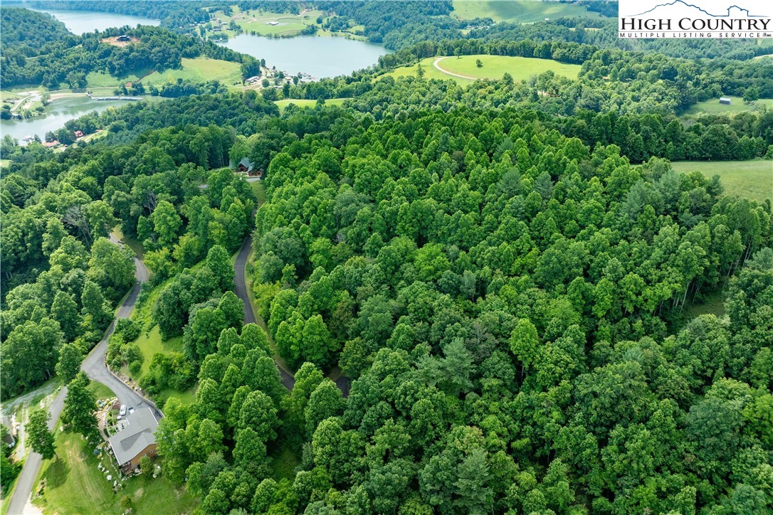 Lot 20 Lake Ridge Butler, TN 37640 - Photo 8 of 27 an aerial view of a house with yard