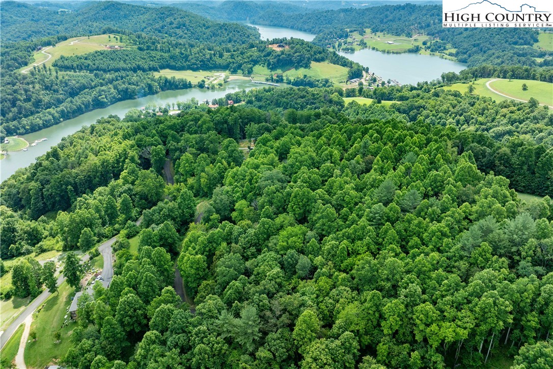 Lot 20 Lake Ridge Butler, TN 37640 - Photo 10 of 27 an aerial view of residential house with outdoor space and trees all around