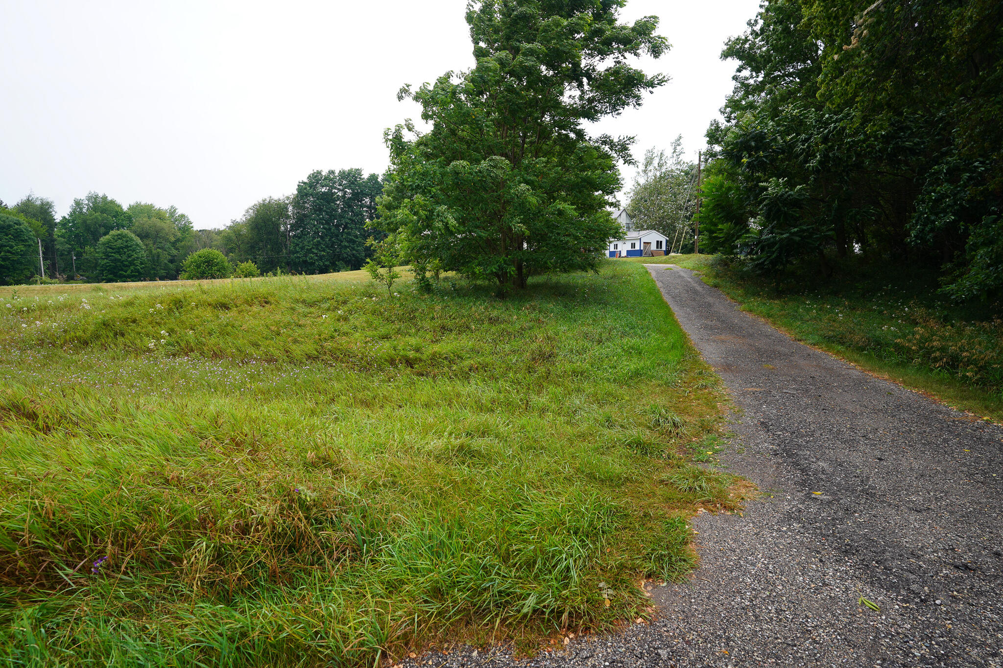 4685 Fritz Road Northwest Stanton, MI 48888 - Photo 3 of 6 DSC07772