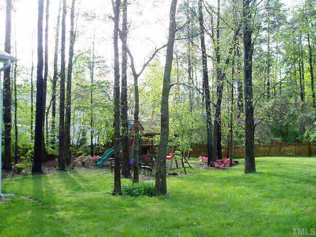 2704 Dahlgreen Road Raleigh, NC 27615 - Photo 6 of 7 a view of outdoor space and yard