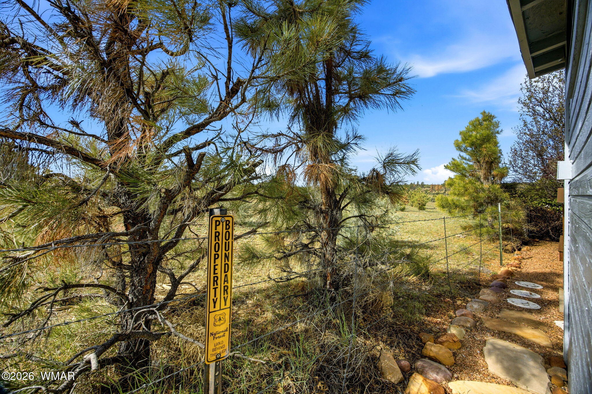 2275 Old Crooks Trail Overgaard, AZ 85933 - Photo 20 of 24 a view of a tree in a yard