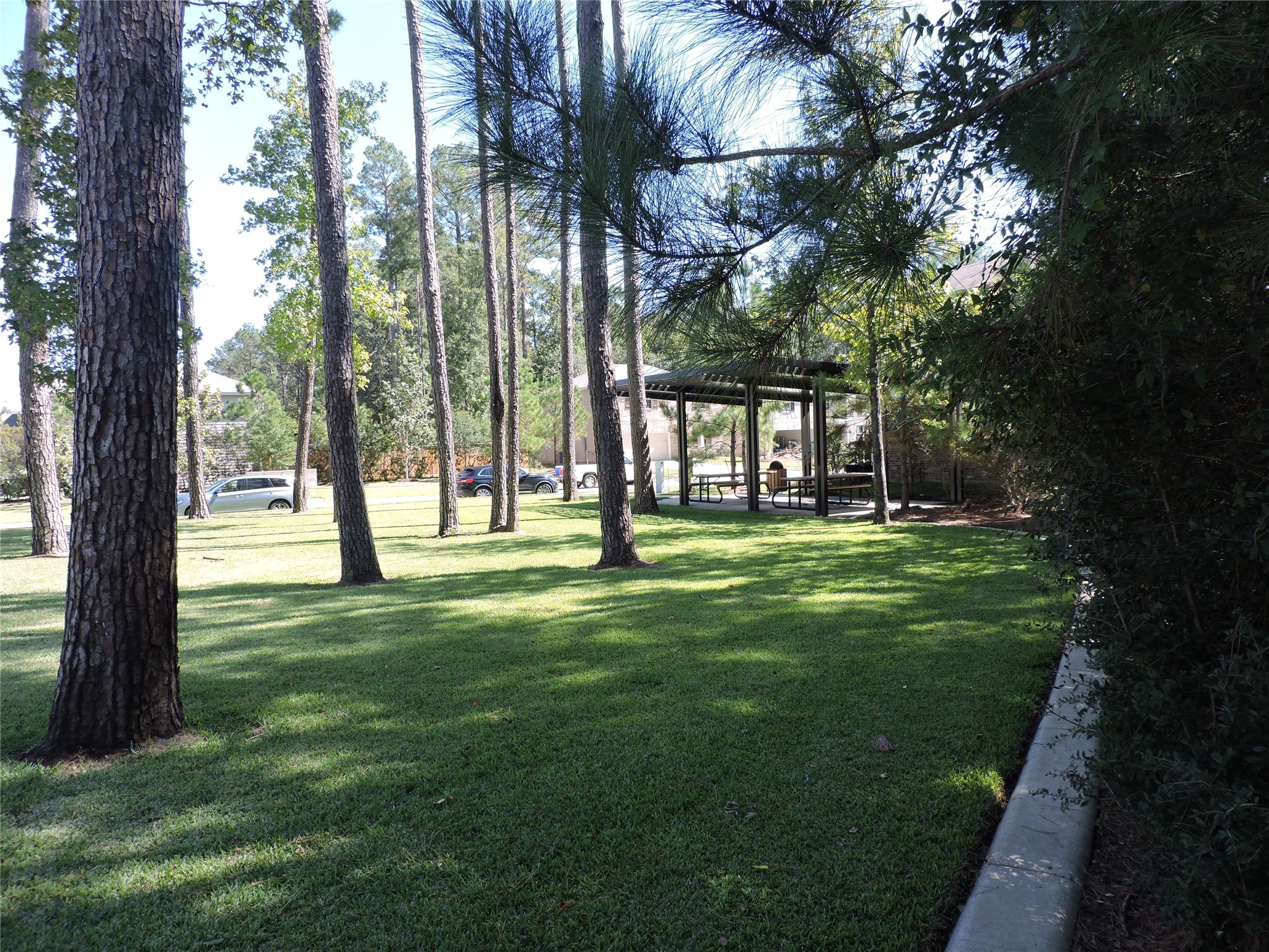 4022 Timber Sapp Drive Conroe, TX 77304 - Photo 32 of 35 Enjoy the amenities of The Woods of Conroe plenty of sidewalks for walking, covered picnic area at the park