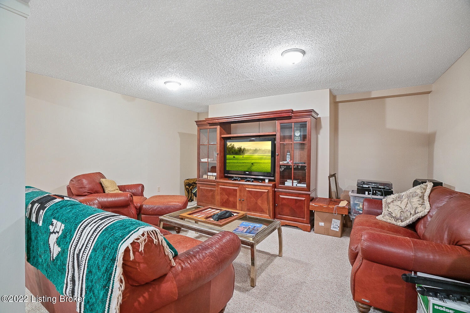 1939 Cardinal Harbour Road Prospect, KY 40059 - Photo 33 of 68 Basement family room