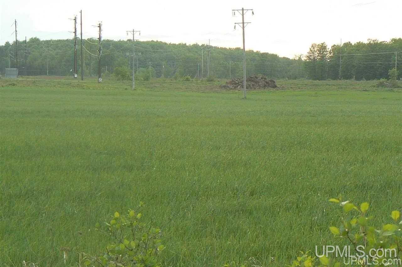Tbd Benson 53 Acres Road Chatham, MI 49816 - Photo 8 of 10