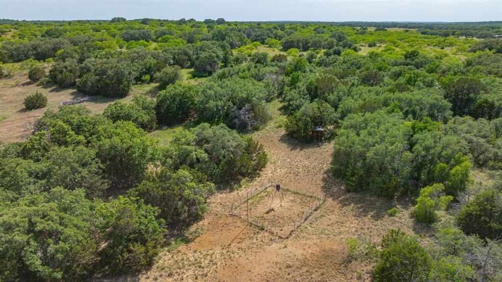 136 Moose Trail Ranger, TX 76470 - Photo 28 of 40 a view of a forest with a street