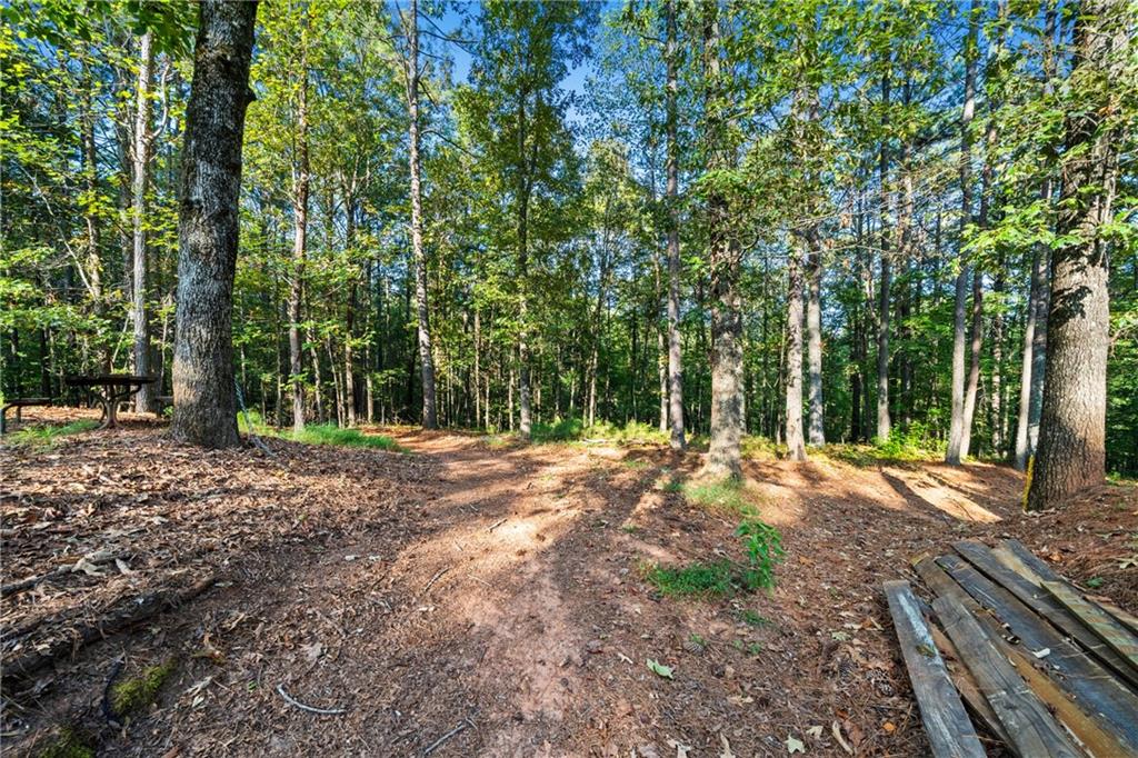 3204 Reavis Mountain Road Ball Ground, GA 30107 - Photo 73 of 84 Gallery Image 73