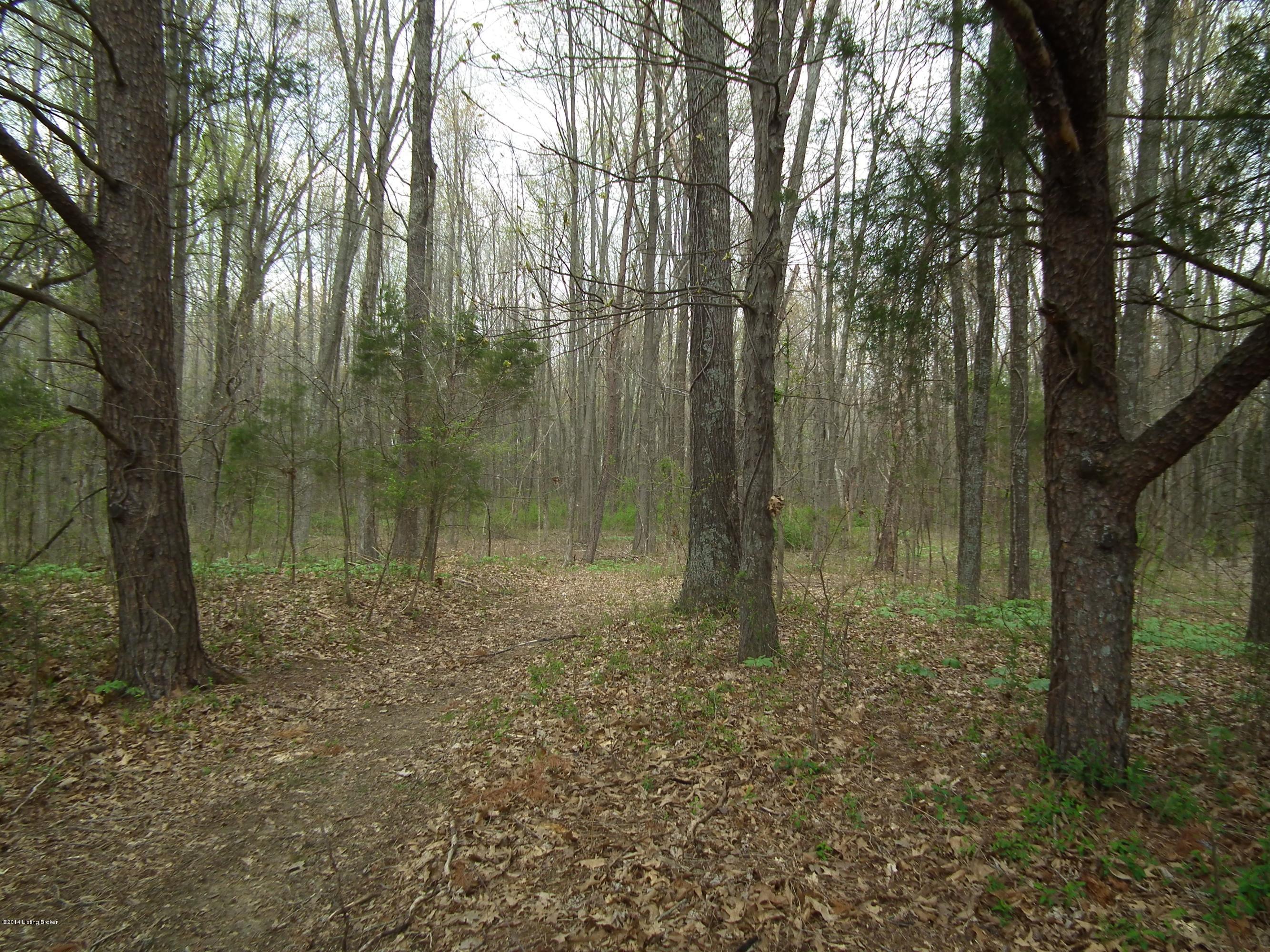 5237 Beech Grv Road Lebanon Junction, KY 40150 - Photo 23 of 25 outside 5