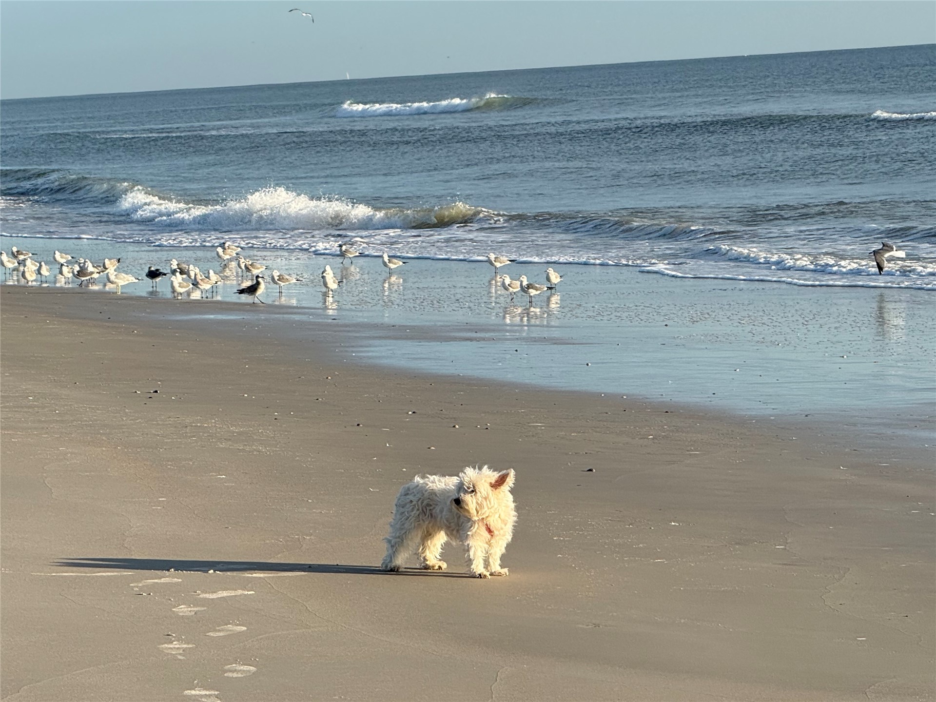 1729 Crescent Road Fernandina Beach, FL 32034 - Photo 34 of 34