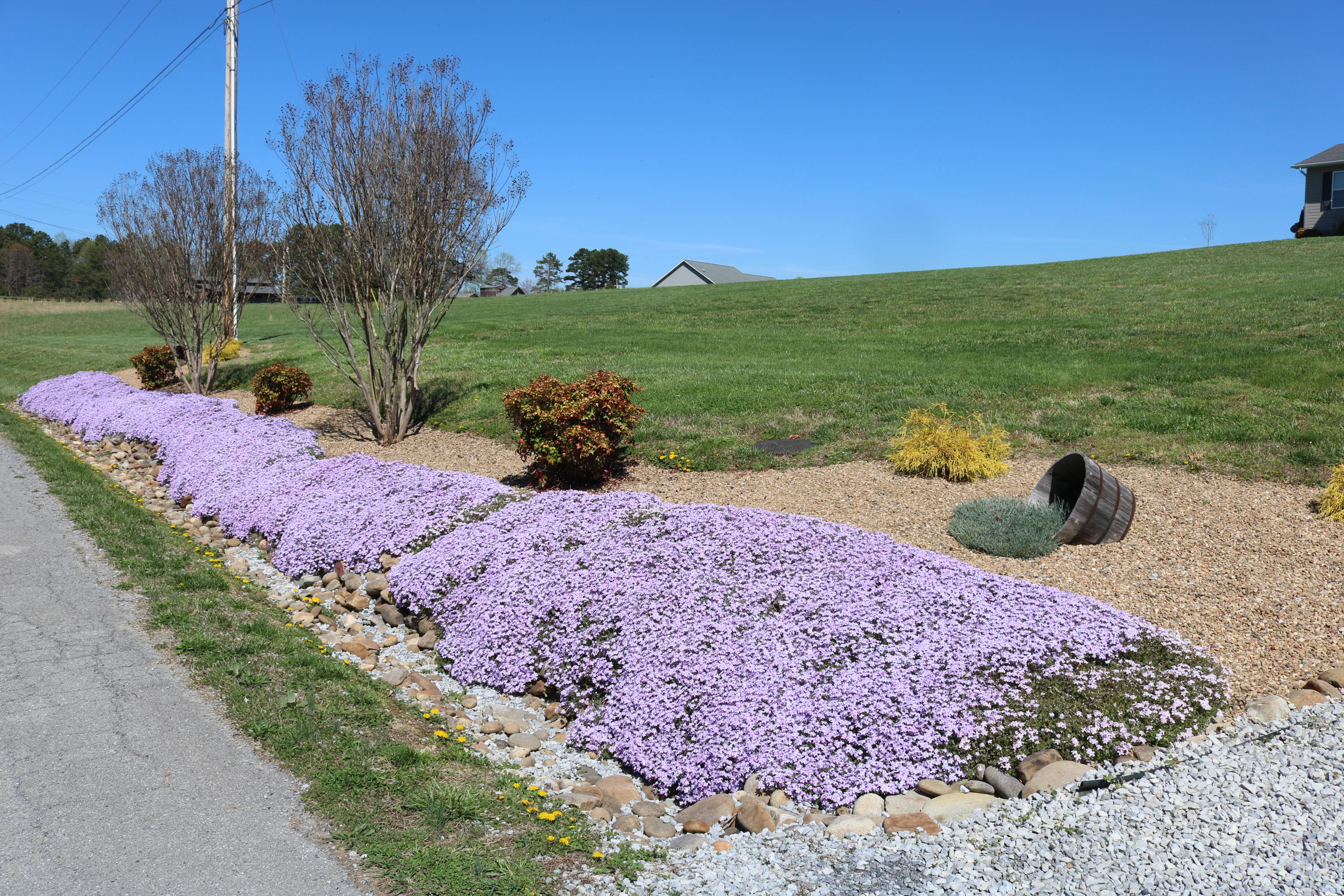 276 Anderson Loop Greeneville, TN 37743 - Photo 21 of 38 IMG_3119