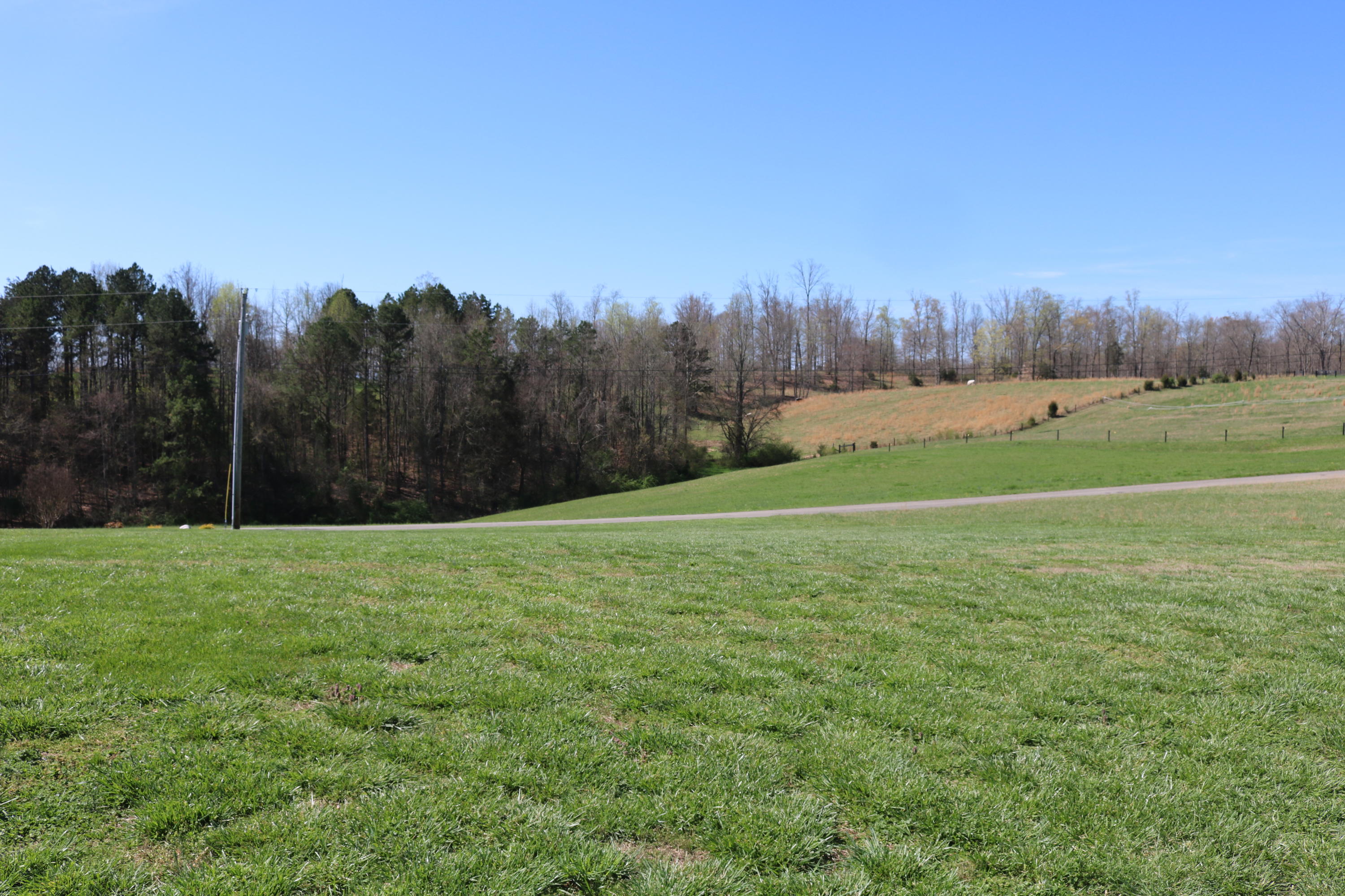 276 Anderson Loop Greeneville, TN 37743 - Photo 23 of 38 IMG_3078