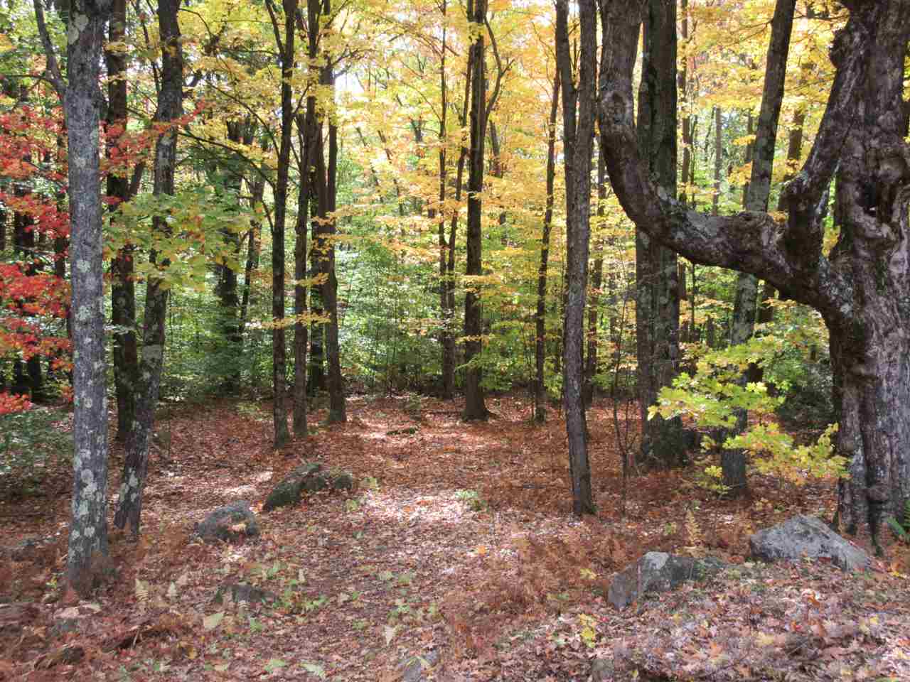 156 Prospect Hill Road Hancock, NH 03449 - Photo 5 of 16