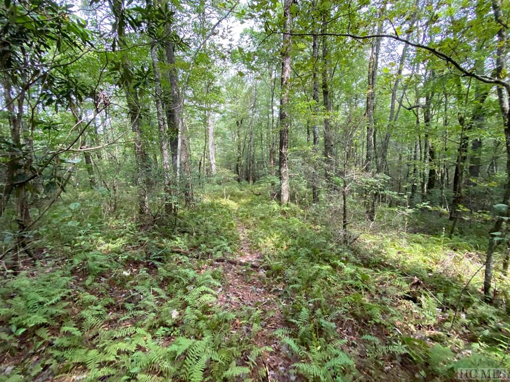 999 Lost Cove Road Clyde, NC 28721 - Photo 19 of 20 Gallery Image 19