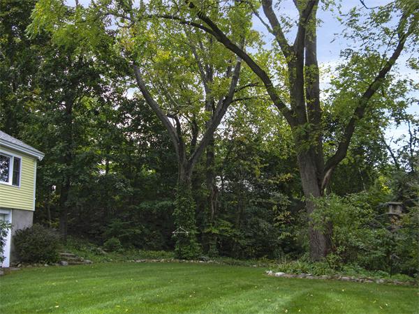 31 Brookside Road Westford, MA 01886 - Photo 12 of 14 Gallery Image 12