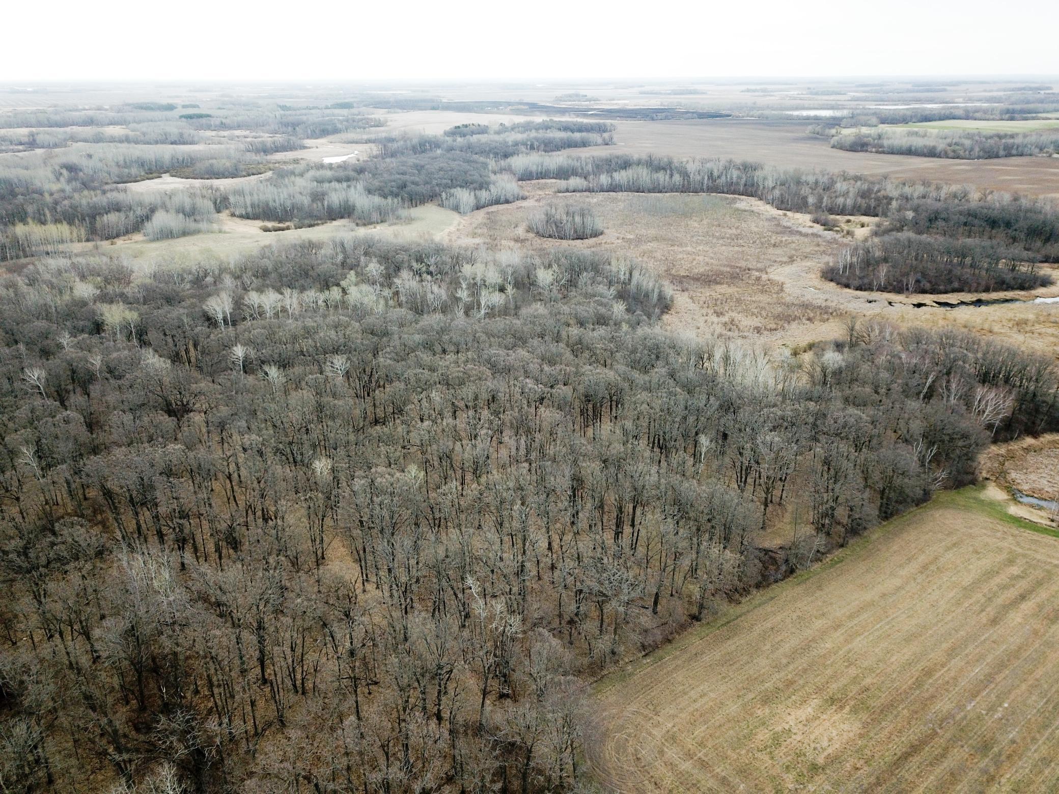 Tbd 340th Street Southeast Fosston, MN 56542 - Photo 13 of 75