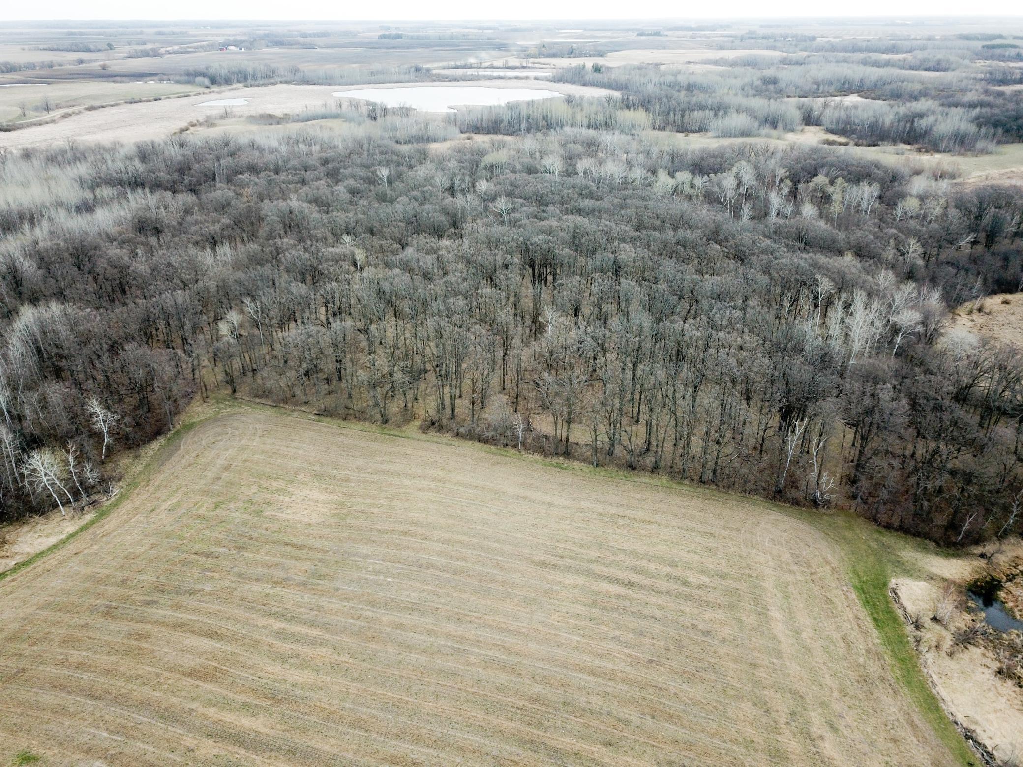Tbd 340th Street Southeast Fosston, MN 56542 - Photo 21 of 75