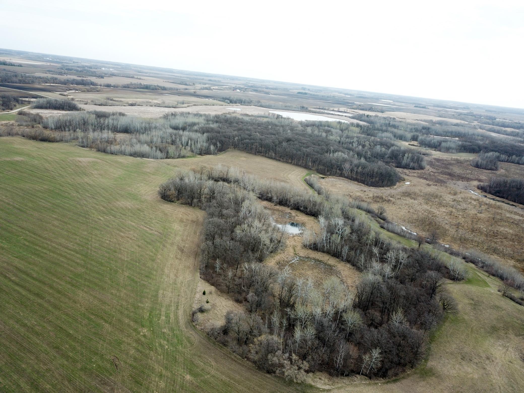 Tbd 340th Street Southeast Fosston, MN 56542 - Photo 26 of 75