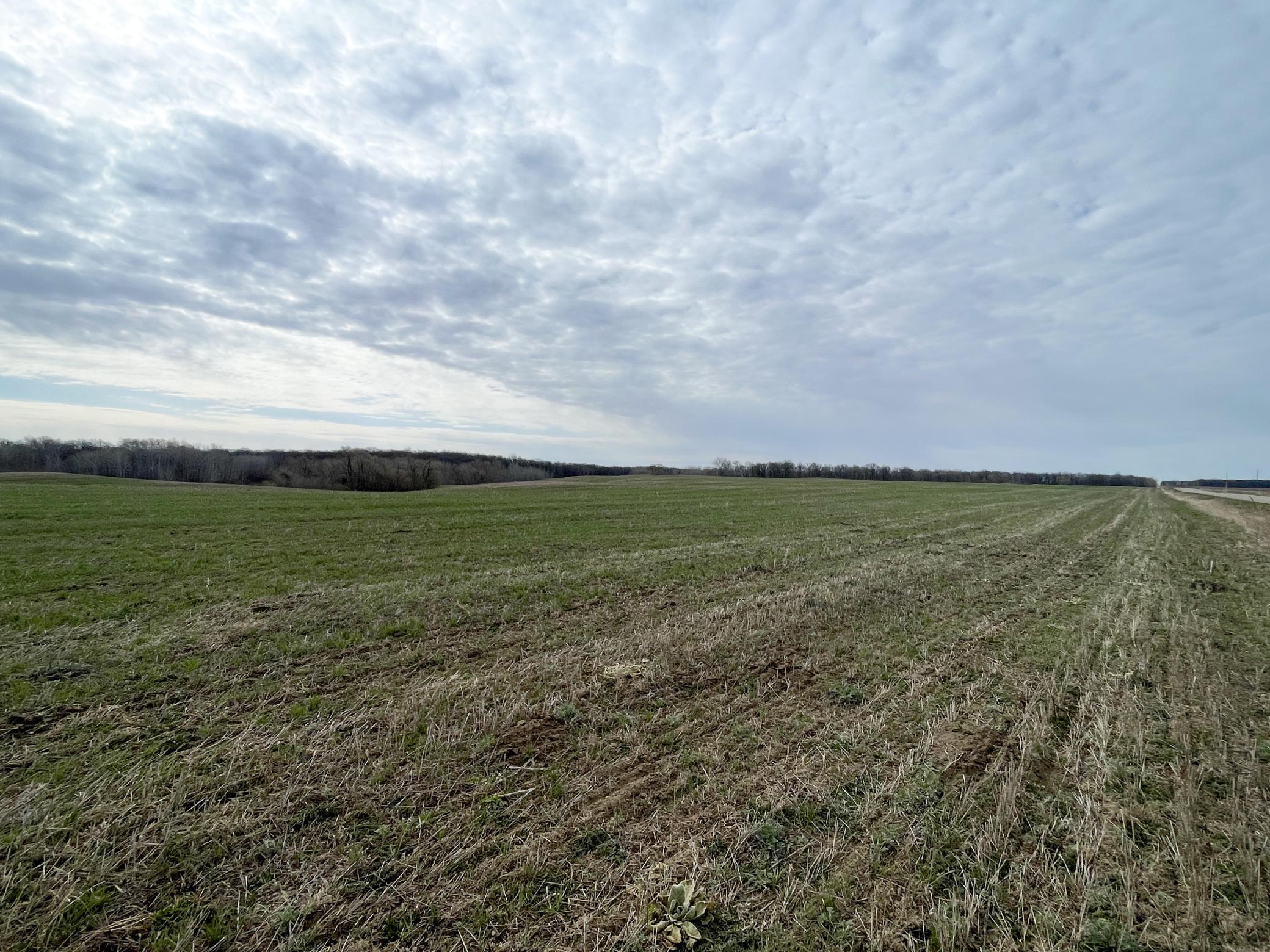 Tbd 340th Street Southeast Fosston, MN 56542 - Photo 27 of 75