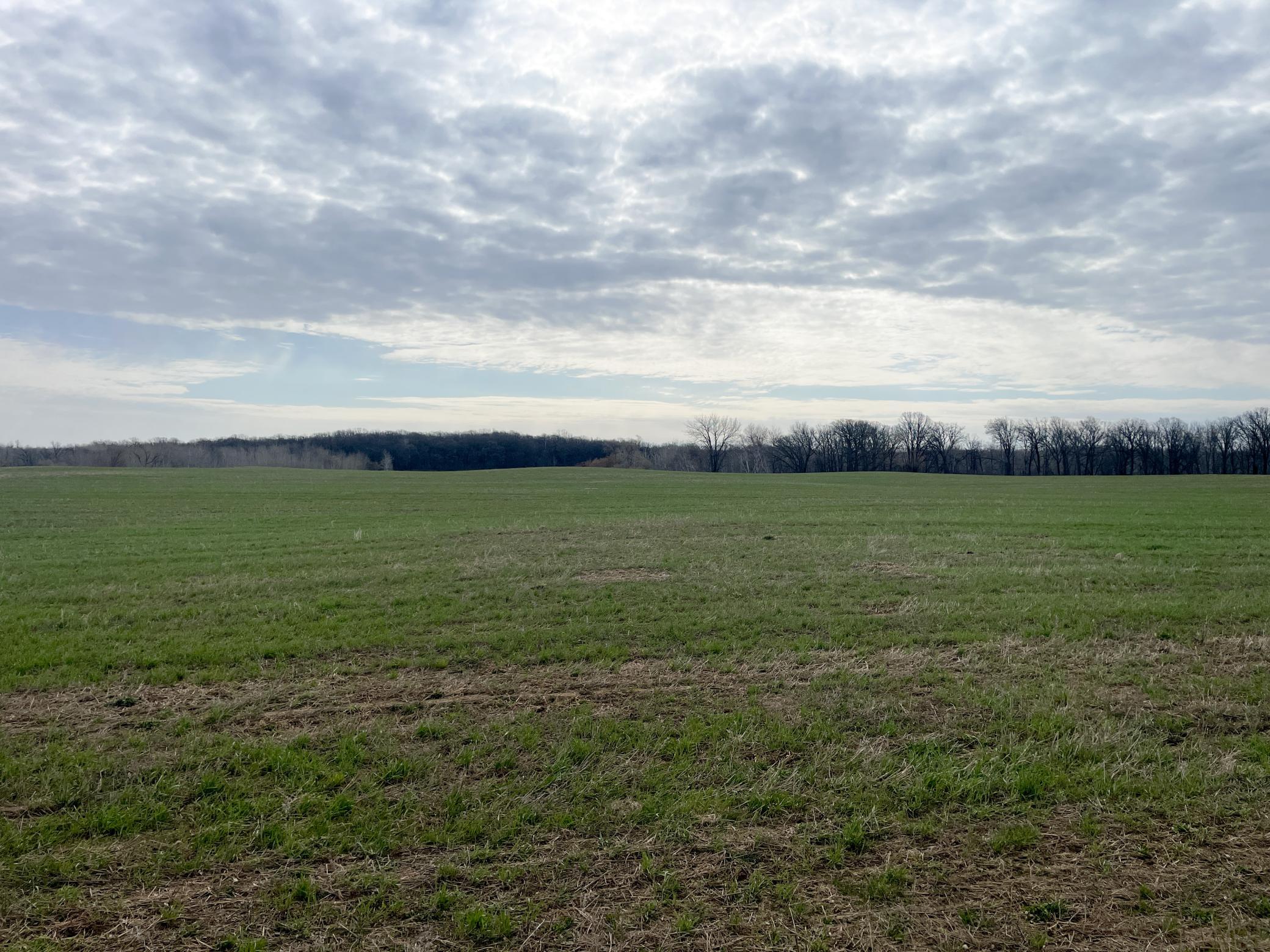 Tbd 340th Street Southeast Fosston, MN 56542 - Photo 28 of 75