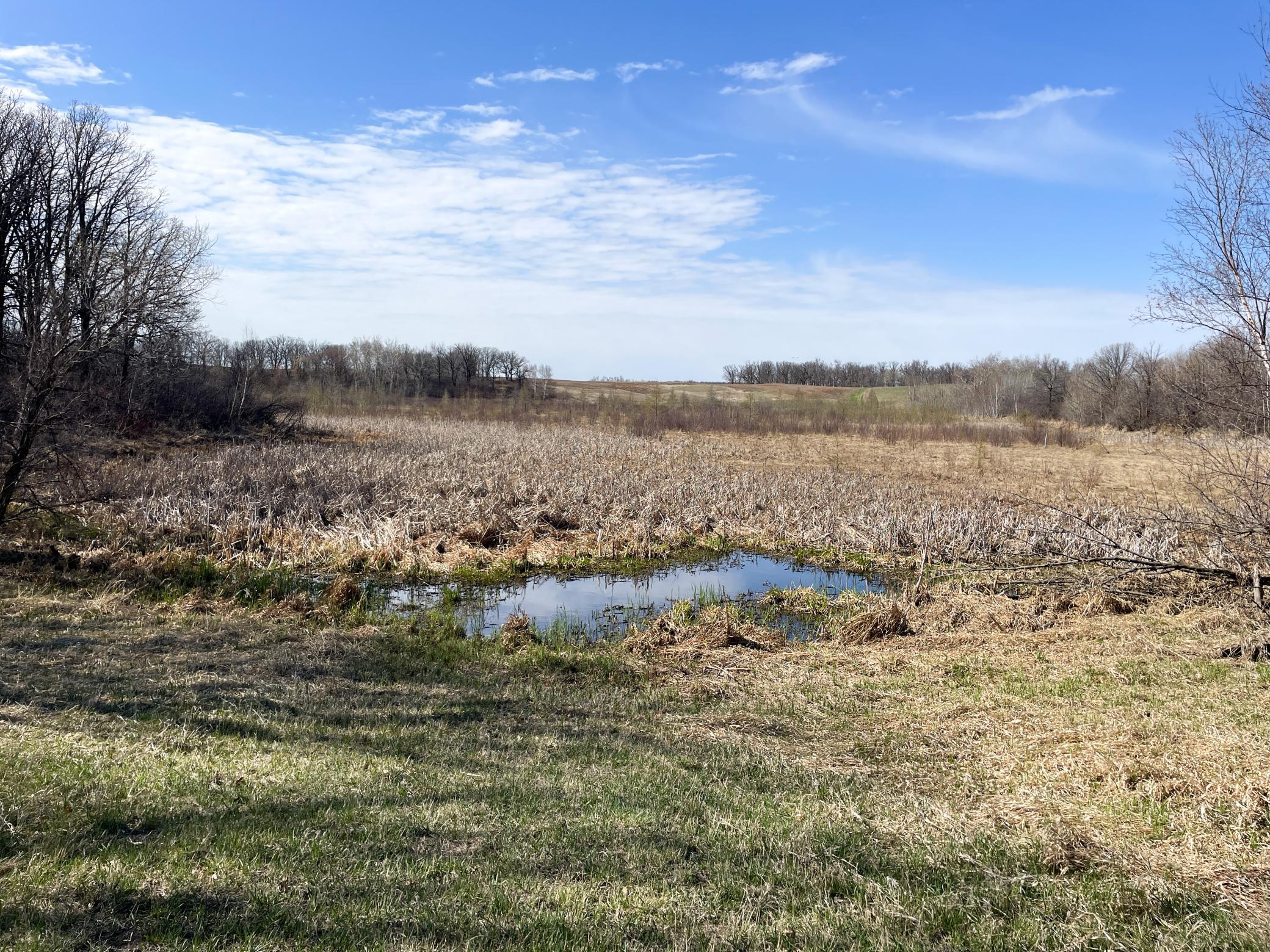 Tbd 340th Street Southeast Fosston, MN 56542 - Photo 39 of 75