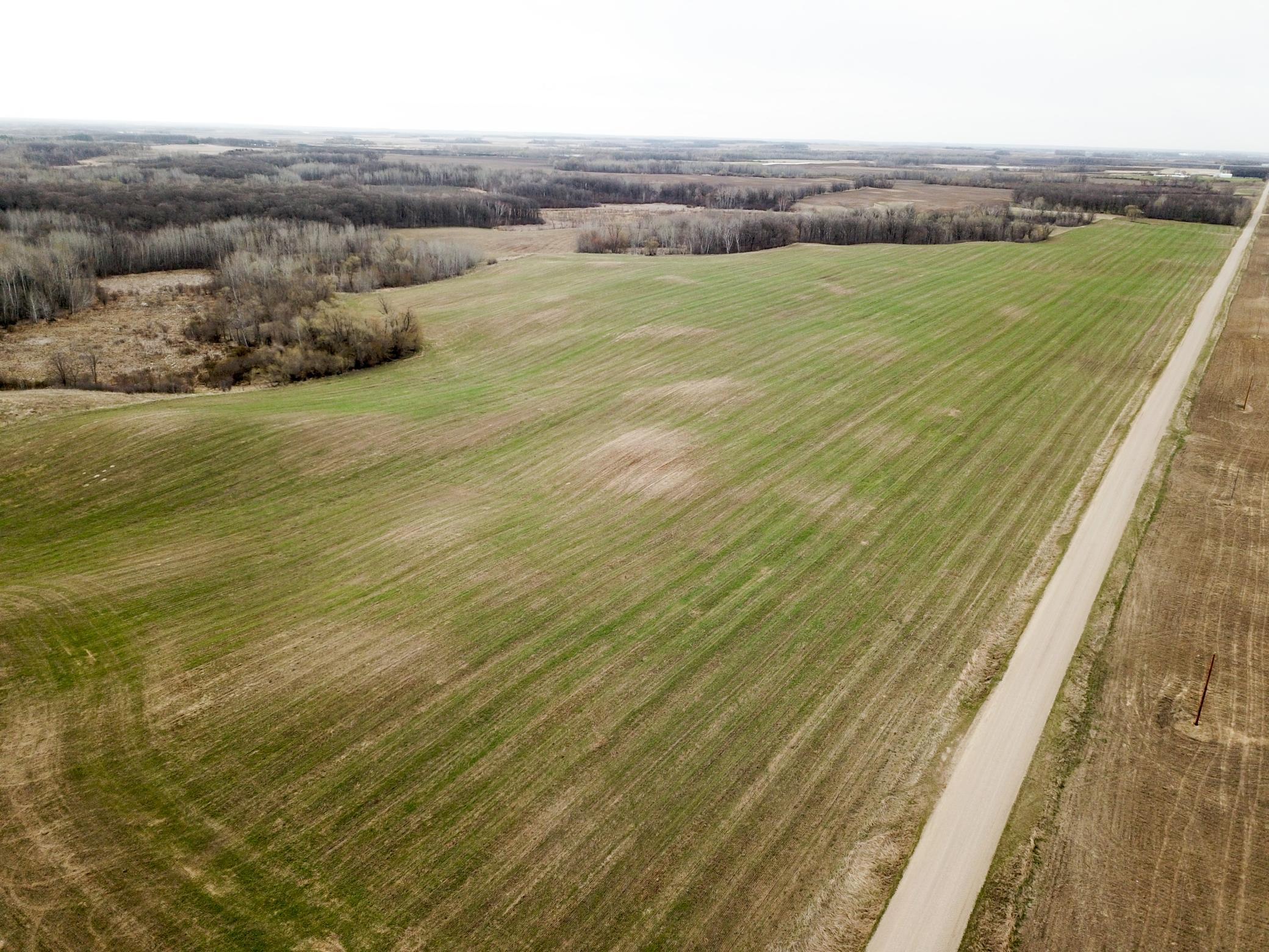 Tbd 340th Street Southeast Fosston, MN 56542 - Photo 4 of 75