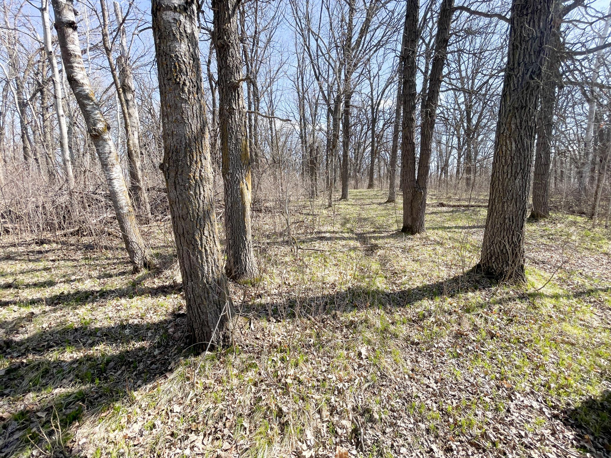 Tbd 340th Street Southeast Fosston, MN 56542 - Photo 43 of 75