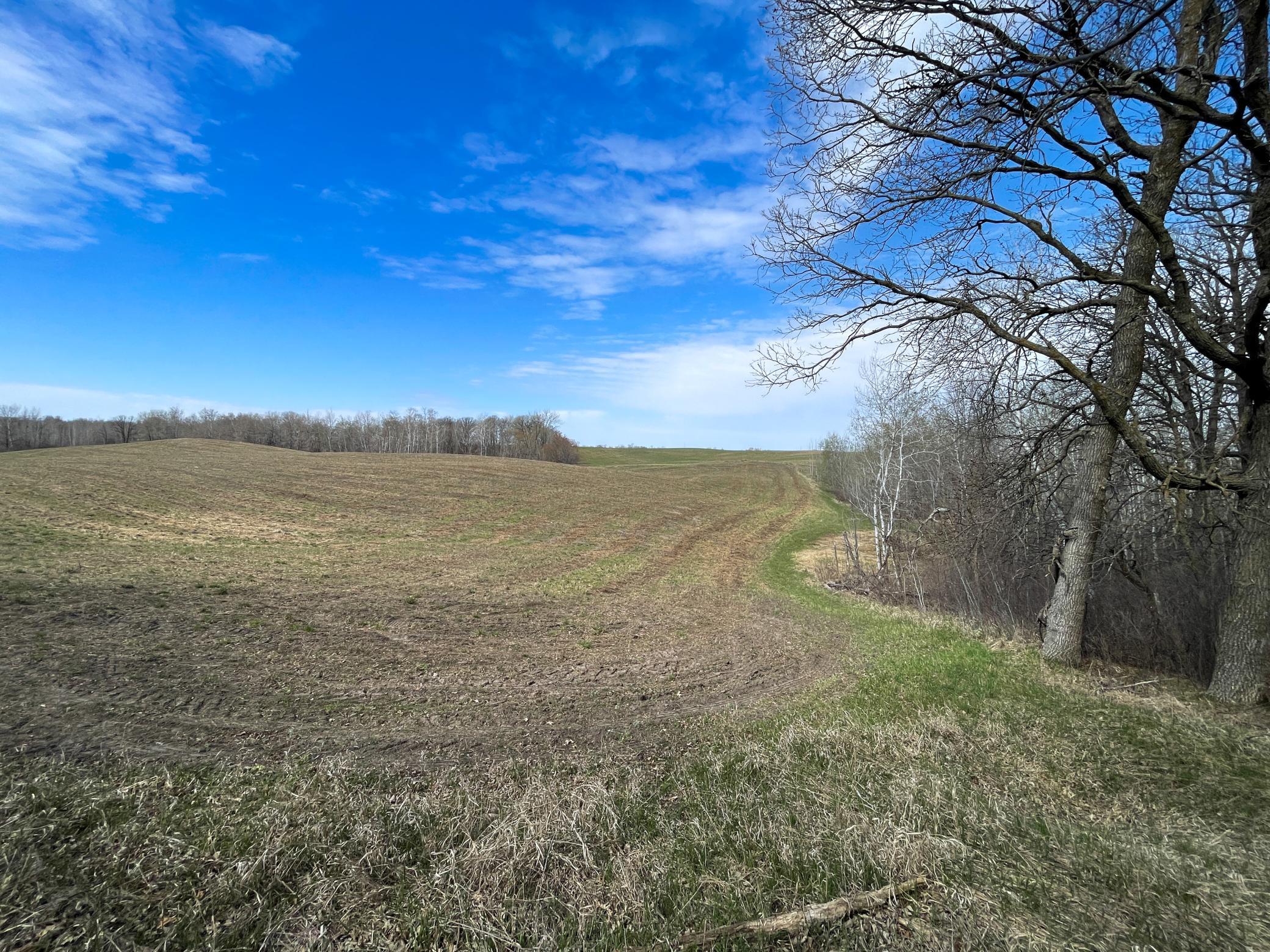 Tbd 340th Street Southeast Fosston, MN 56542 - Photo 52 of 75