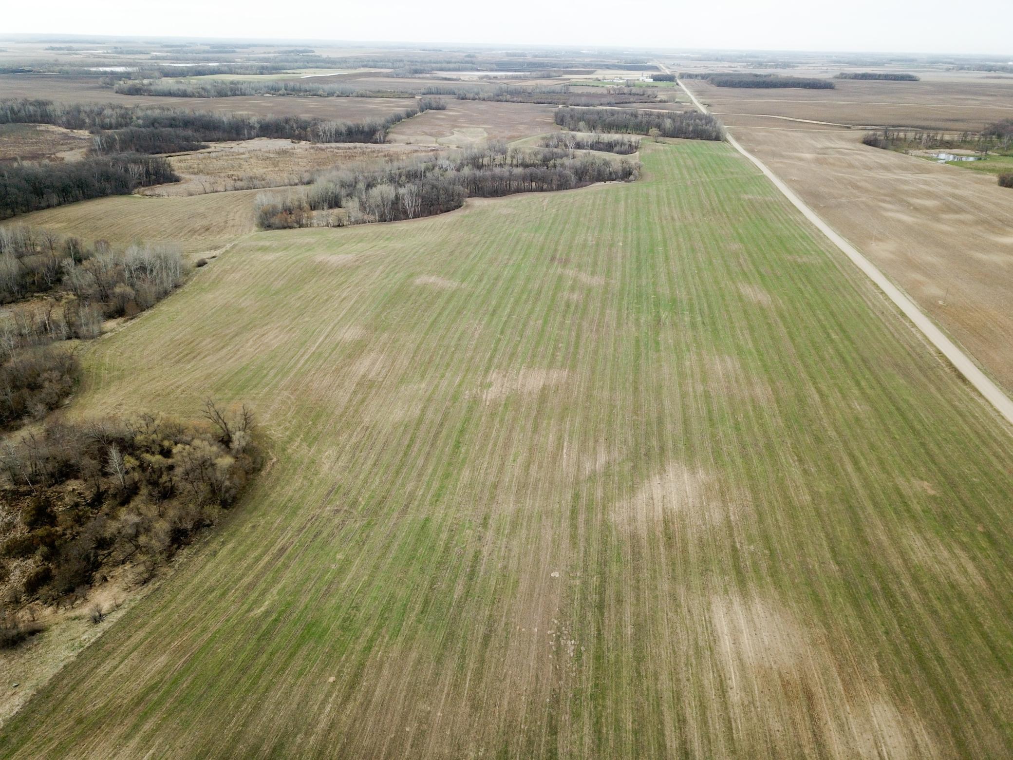 Tbd 340th Street Southeast Fosston, MN 56542 - Photo 6 of 75