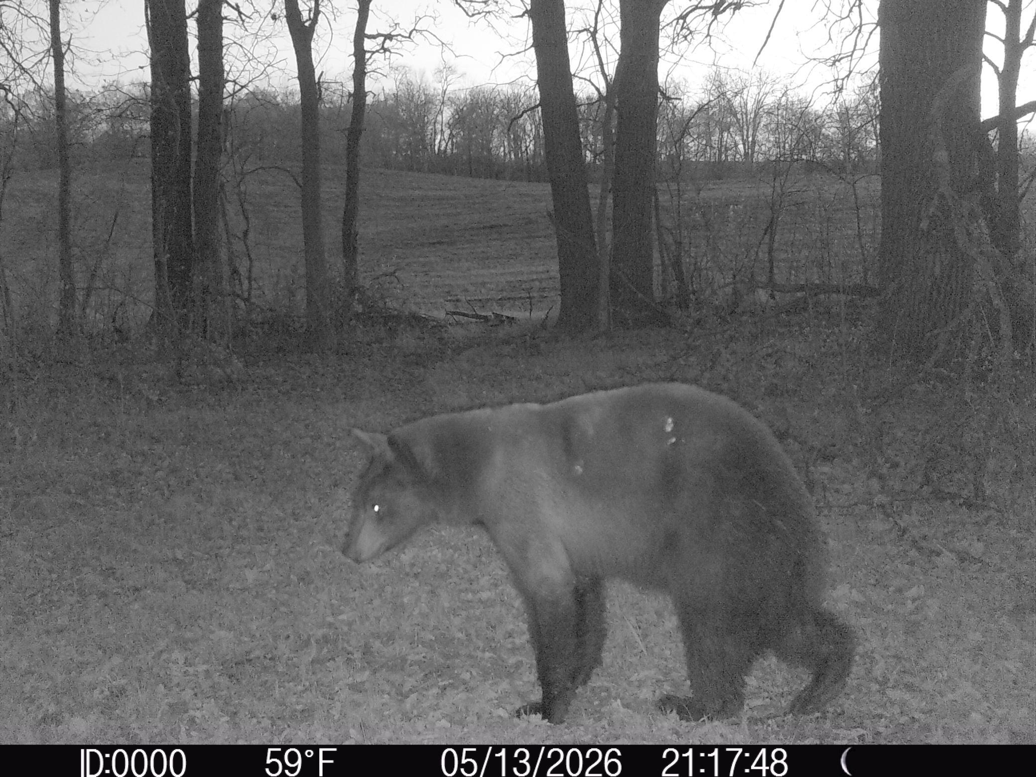 Tbd 340th Street Southeast Fosston, MN 56542 - Photo 75 of 75