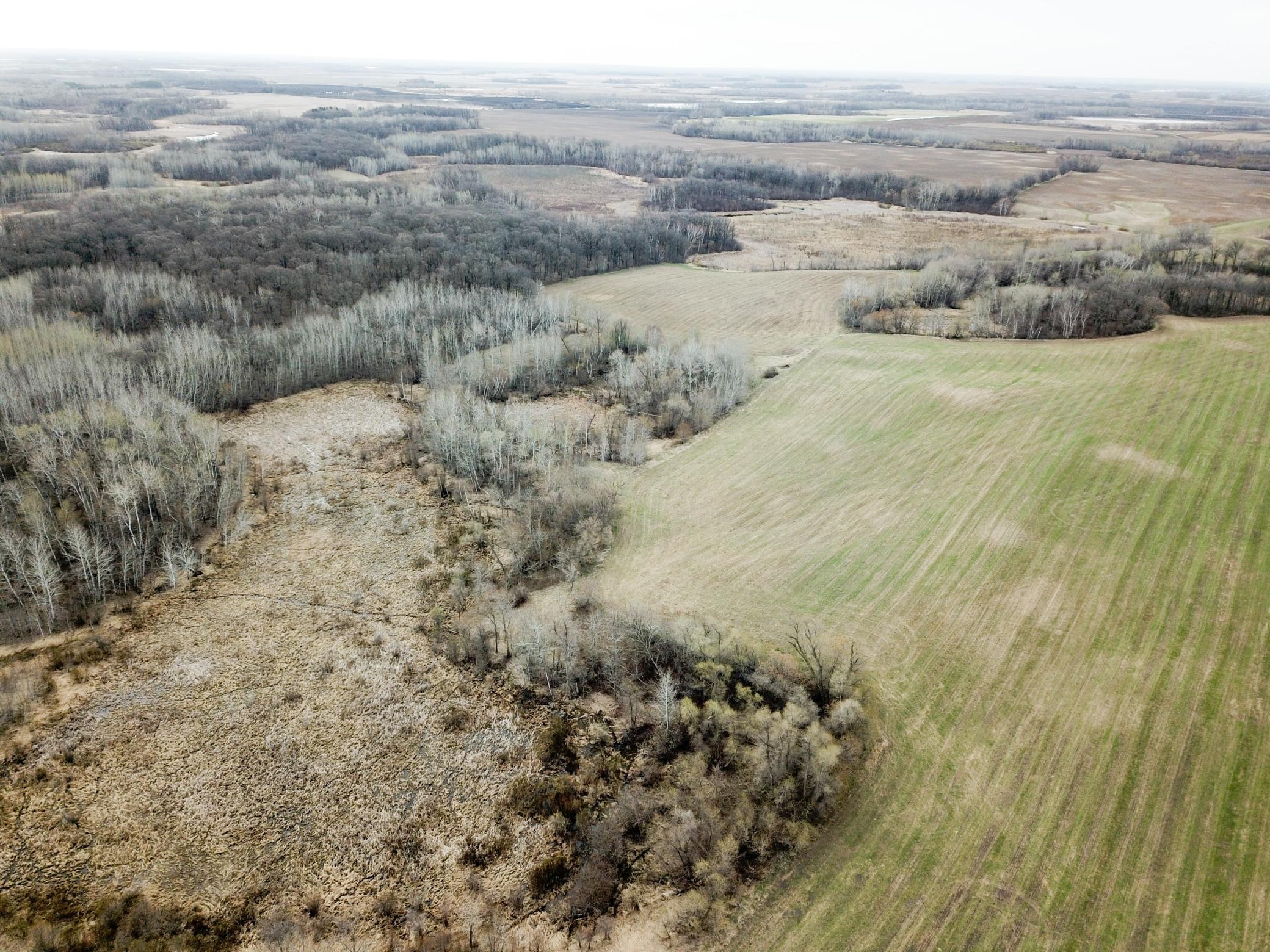 Tbd 340th Street Southeast Fosston, MN 56542 - Photo 8 of 75