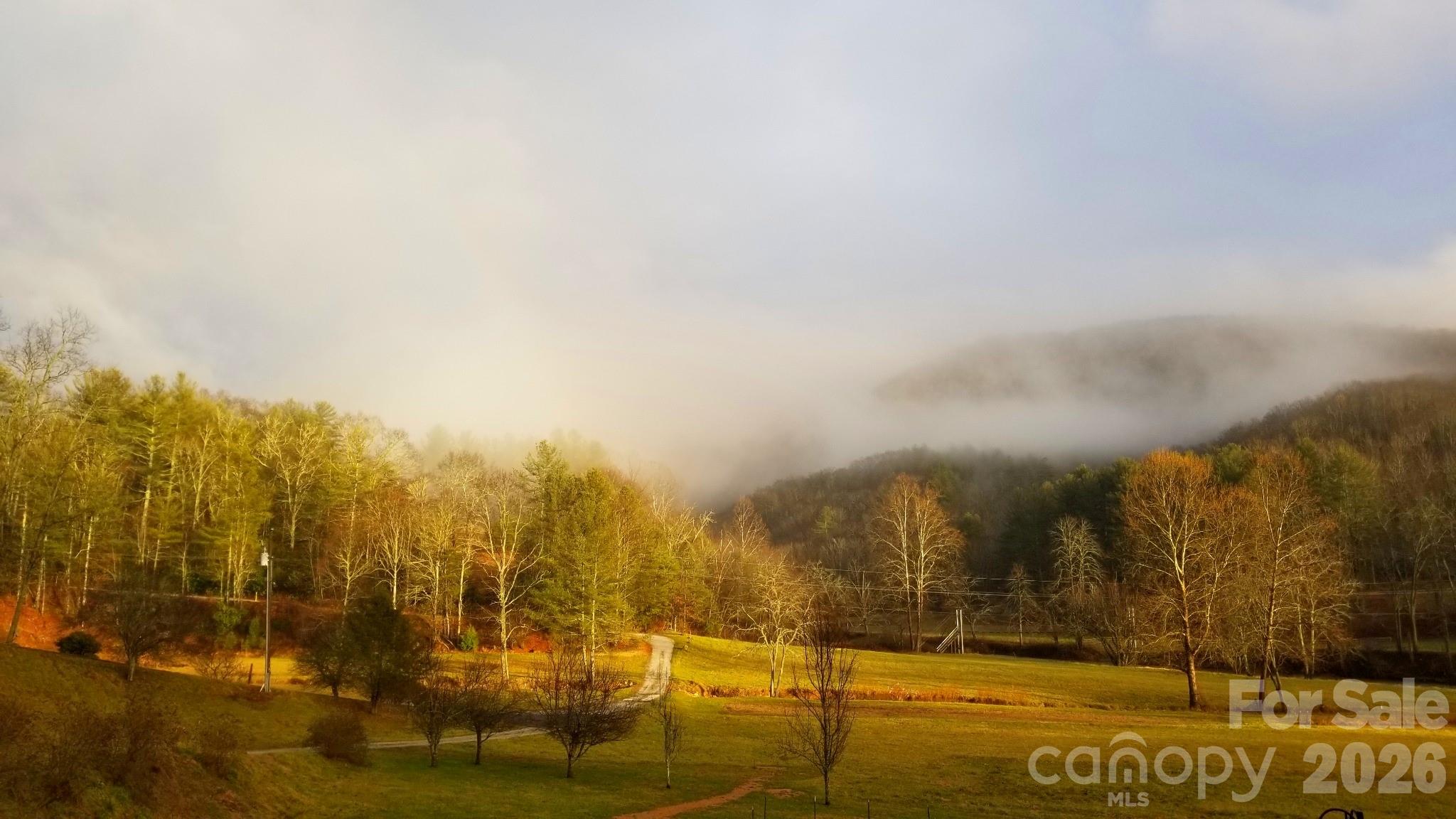 93 Franklin Crest Road Spruce Pine, NC 28777 - Photo 46 of 48