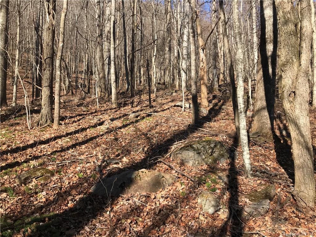 60 Section 4 Bald Creek Road Clyde, NC 28721 - Photo 6 of 6 a view of covered with trees