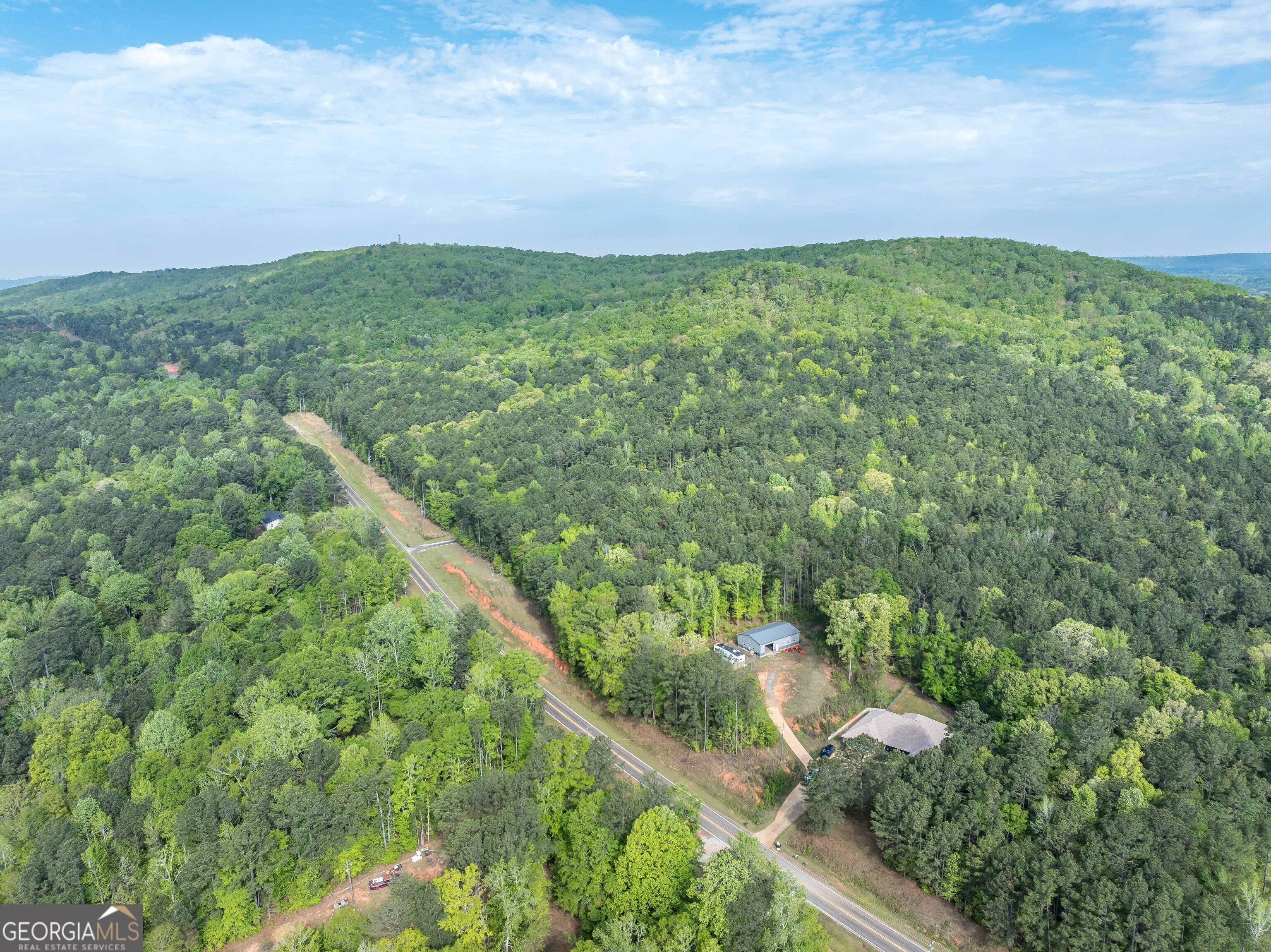 2083 Johnson Mill Road Hamilton, GA 31811 - Photo 29 of 30 a view of a green field with lots of bushes