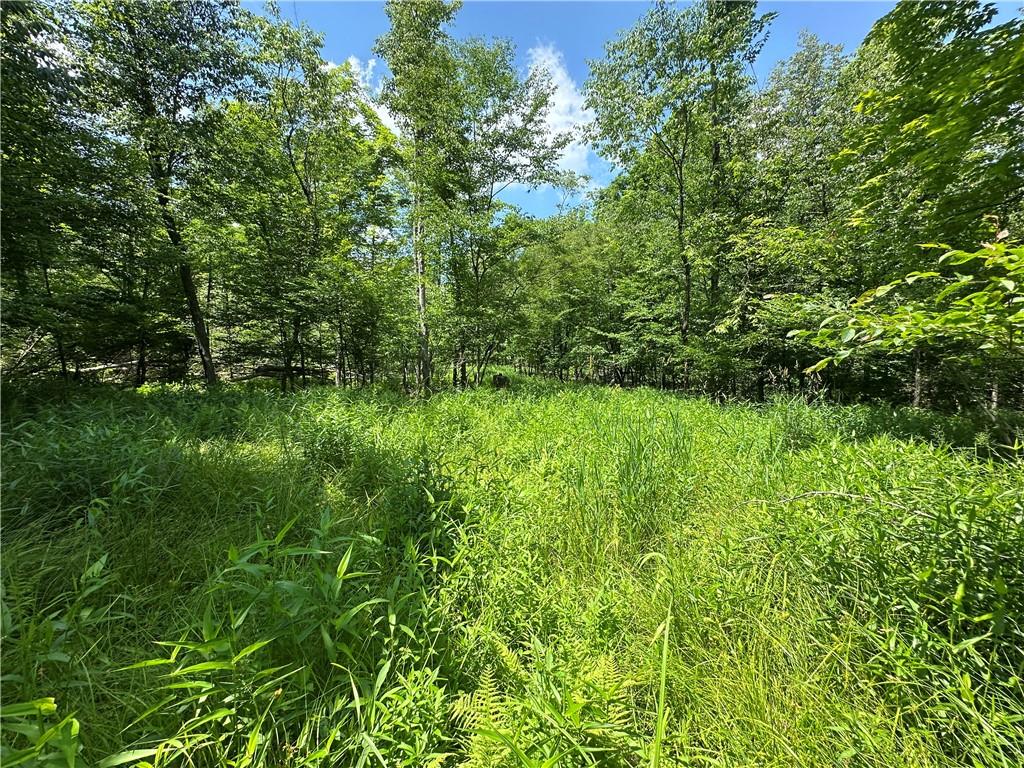 0 Cooperstown Road Cooperstown, PA 16317 - Photo 17 of 23