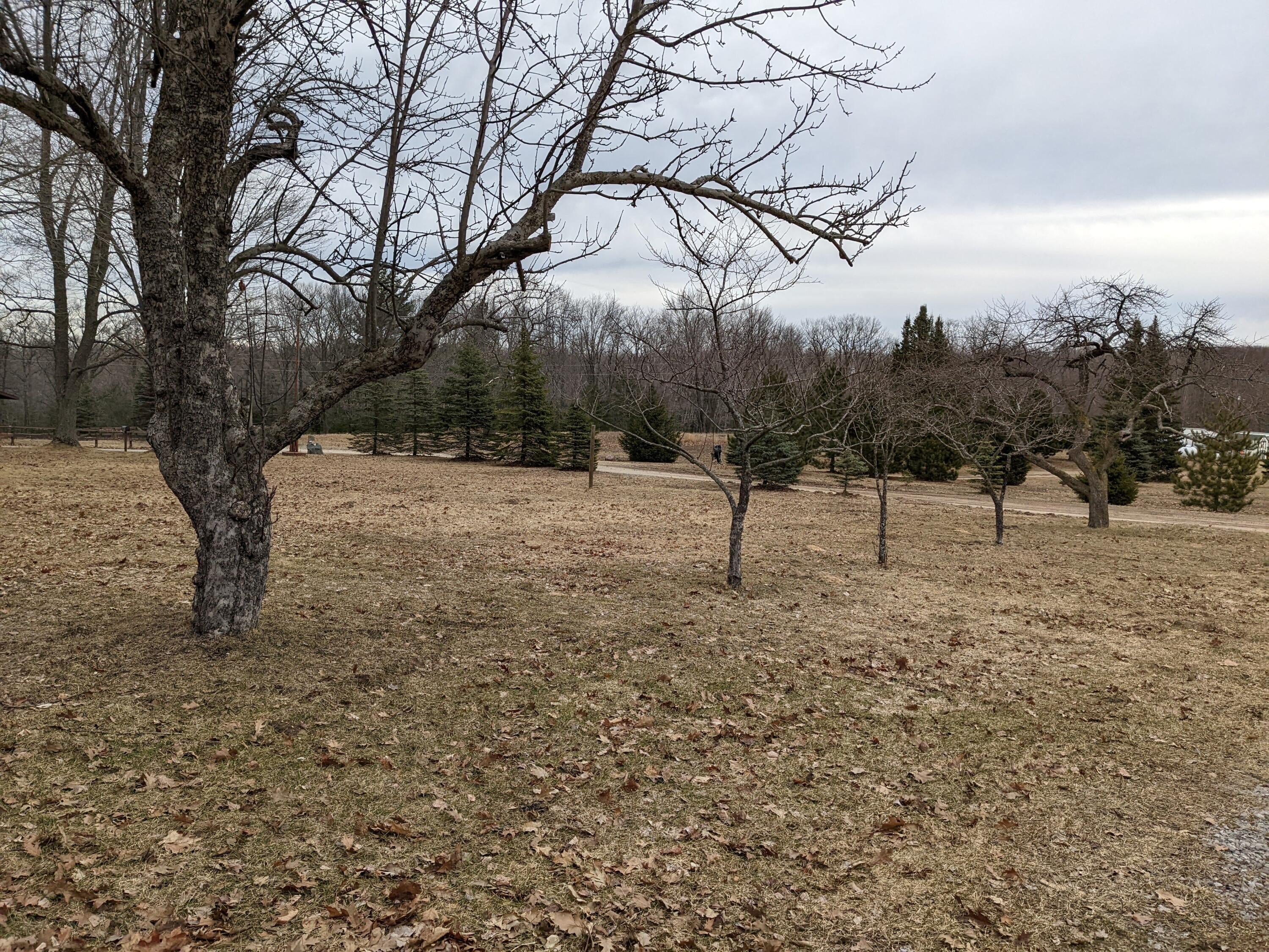 7930 Mitchell Road Atlanta, MI 49709 - Photo 59 of 82 Gallery Image 59