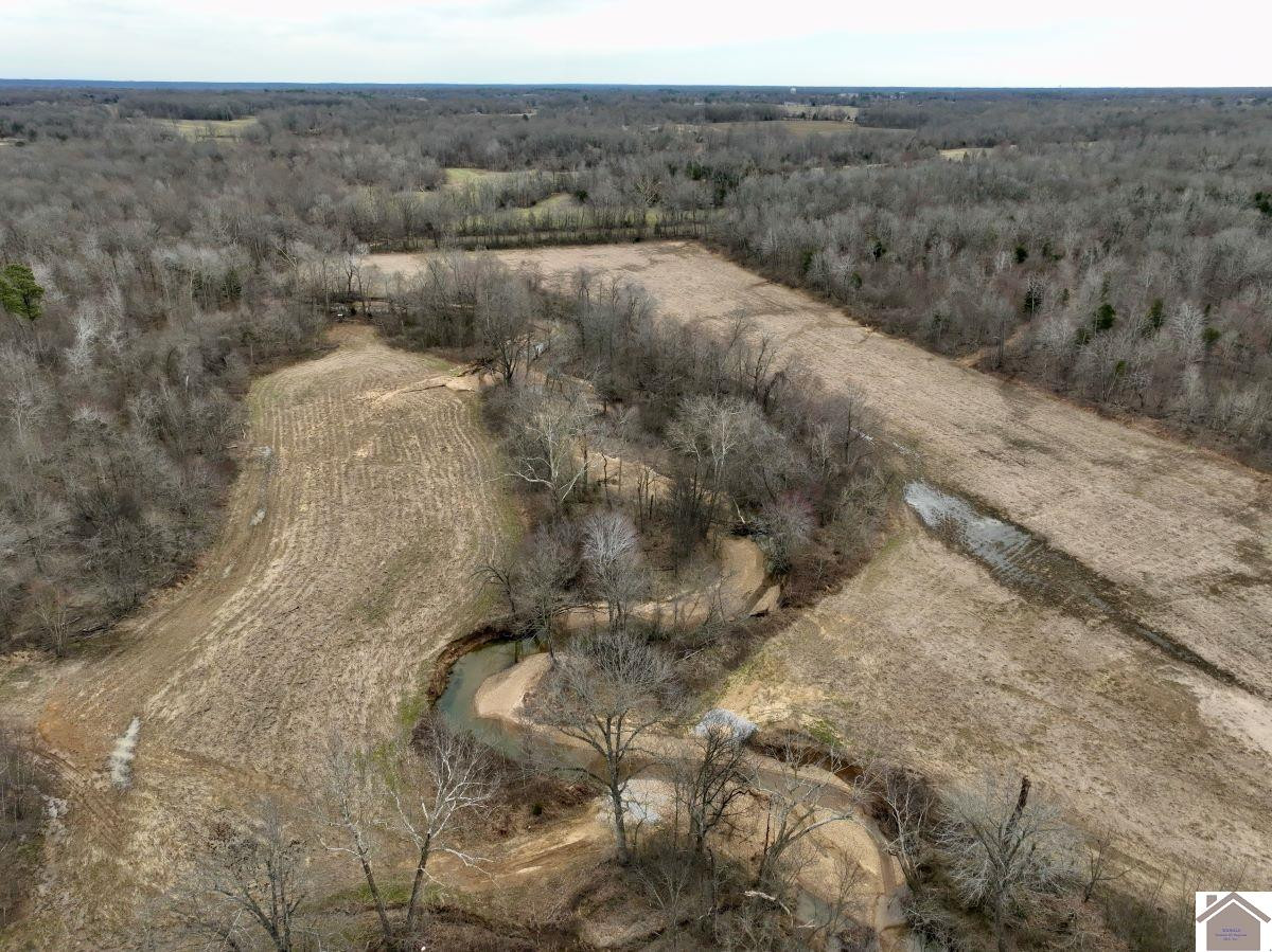 0 Waid Road Benton, KY 42025 - Photo 12 of 35 Photo 12