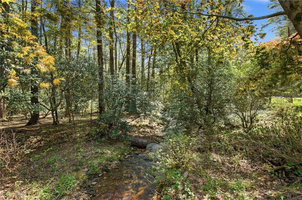 15 Salmon Road Blairsville, GA 30512 - Photo 3 of 44
