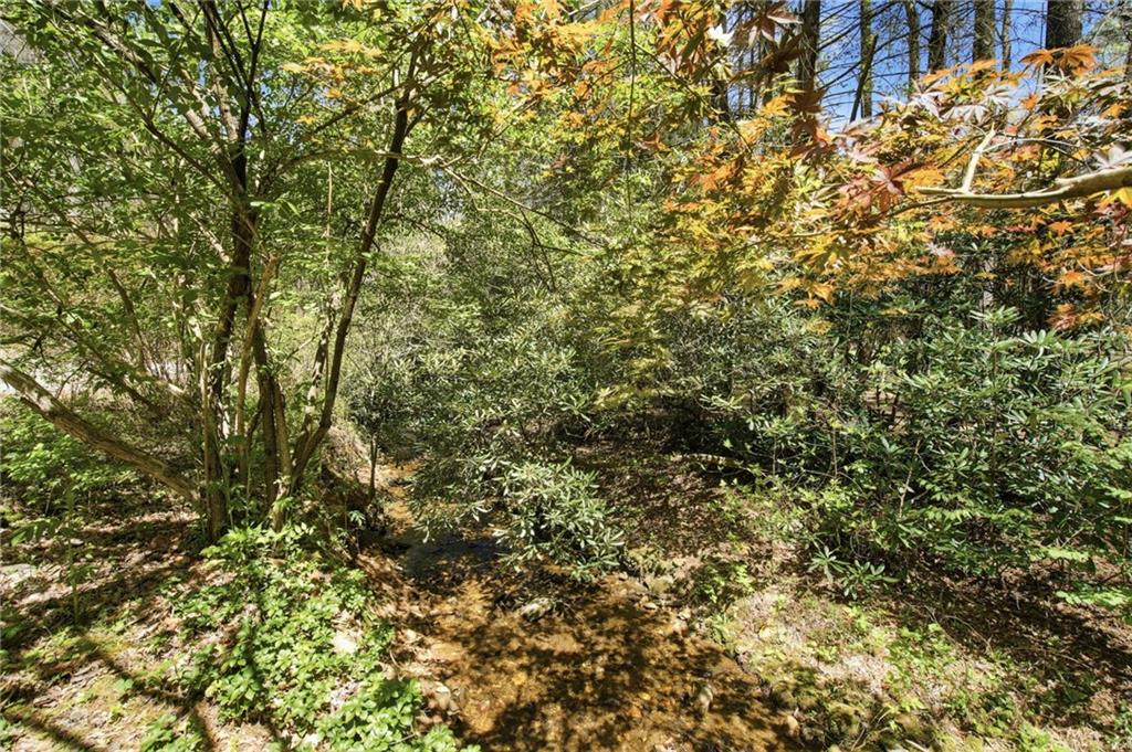 15 Salmon Road Blairsville, GA 30512 - Photo 38 of 44