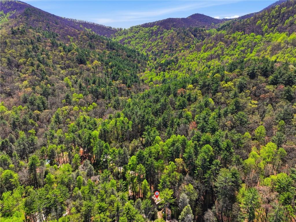 15 Salmon Road Blairsville, GA 30512 - Photo 39 of 44