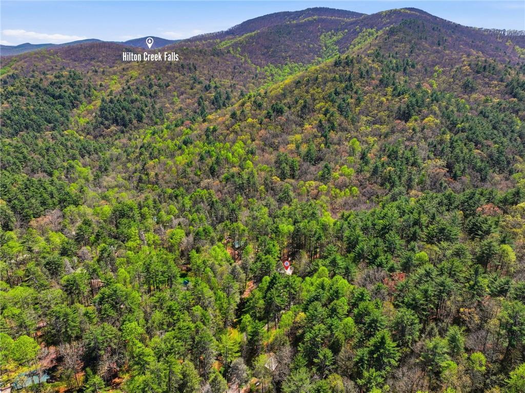 15 Salmon Road Blairsville, GA 30512 - Photo 41 of 44