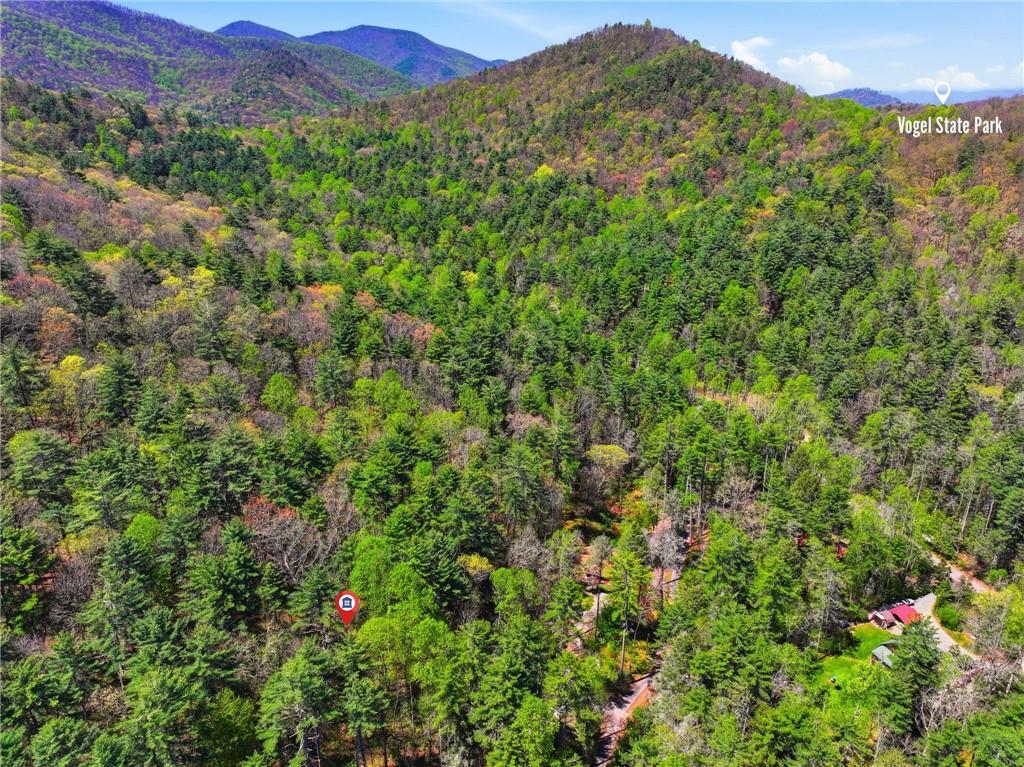 15 Salmon Road Blairsville, GA 30512 - Photo 42 of 44