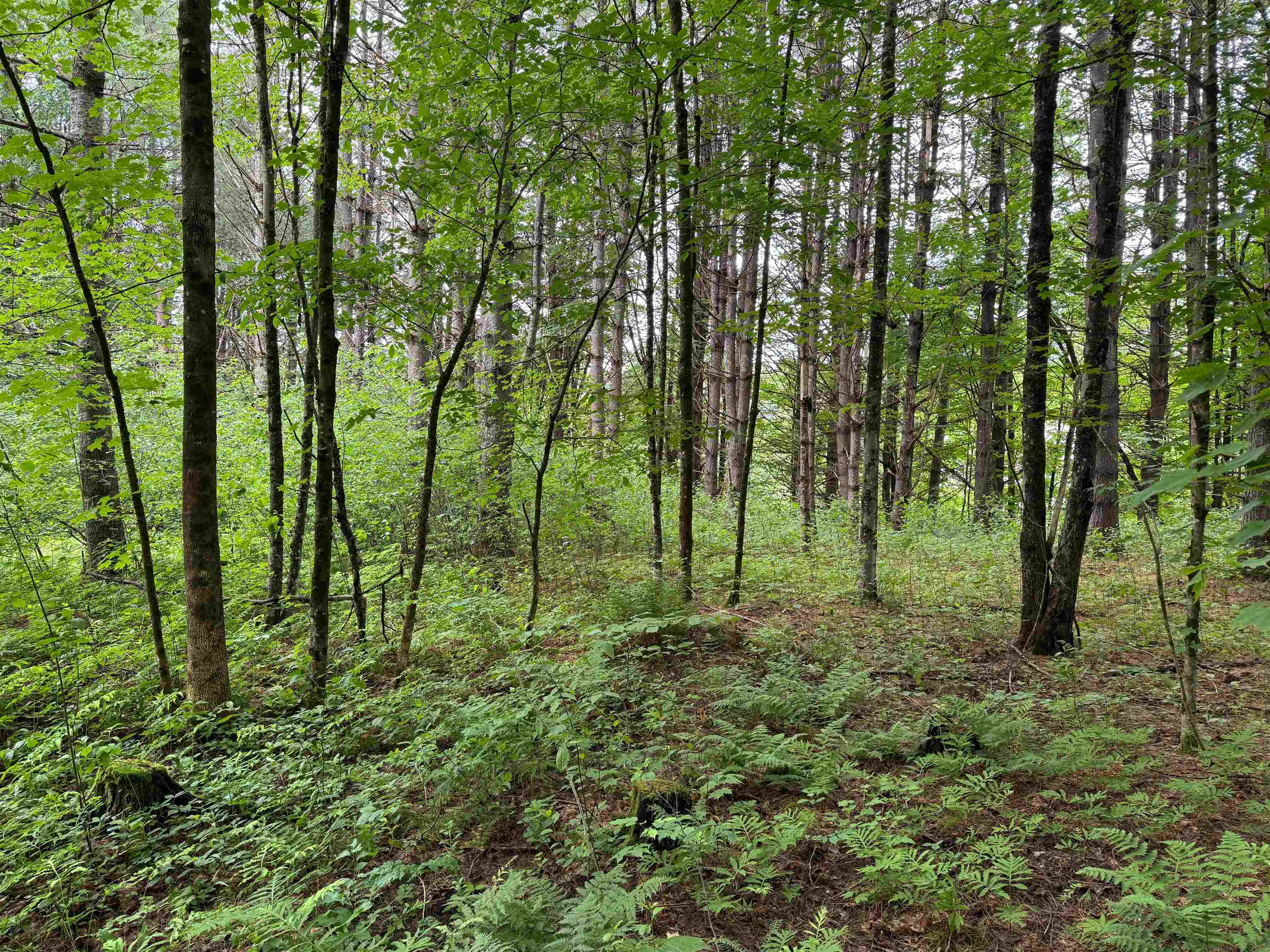 8 Brickyard Road Dover, VT 05341 - Photo 11 of 17