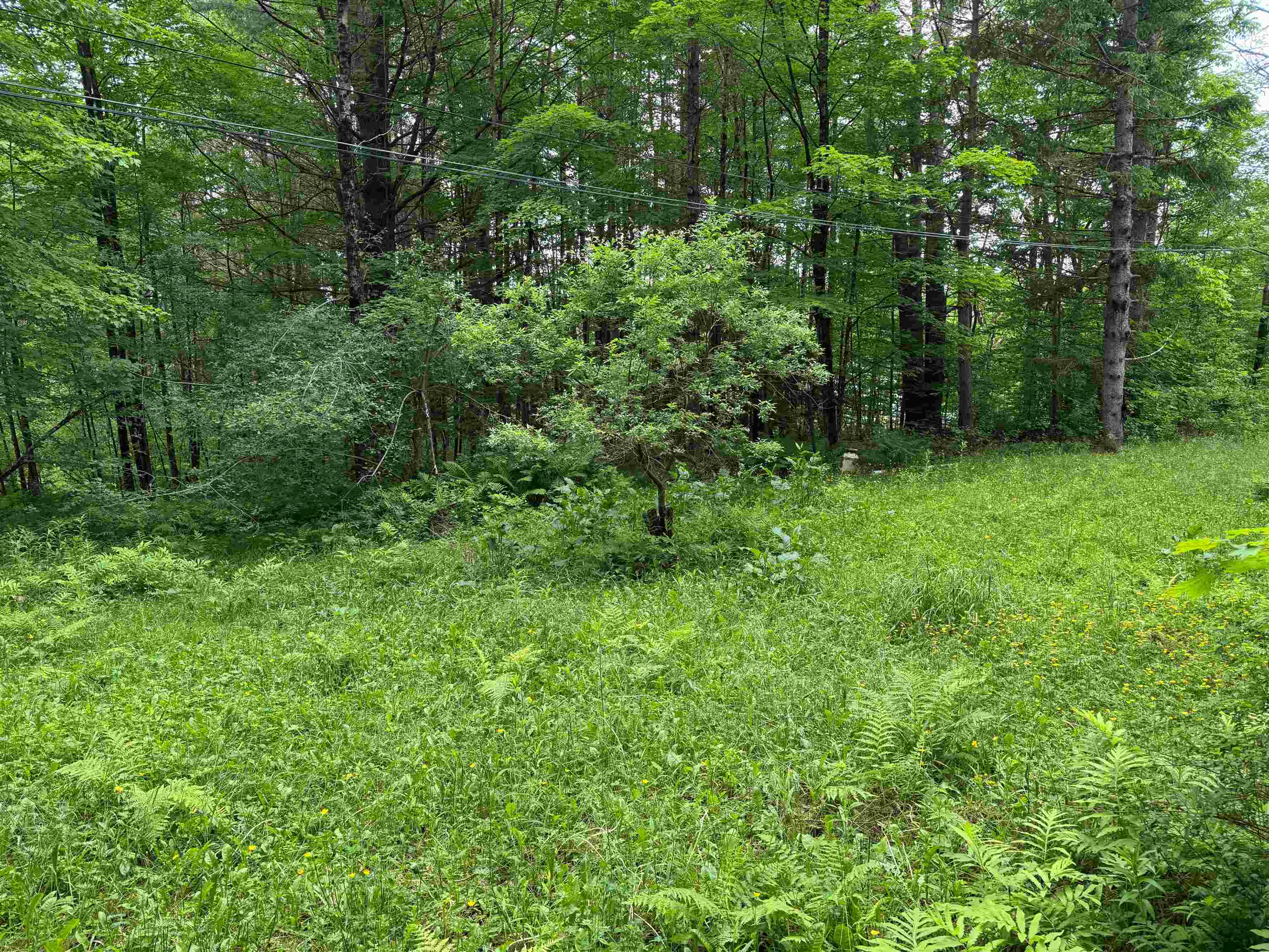 8 Brickyard Road Dover, VT 05341 - Photo 3 of 17