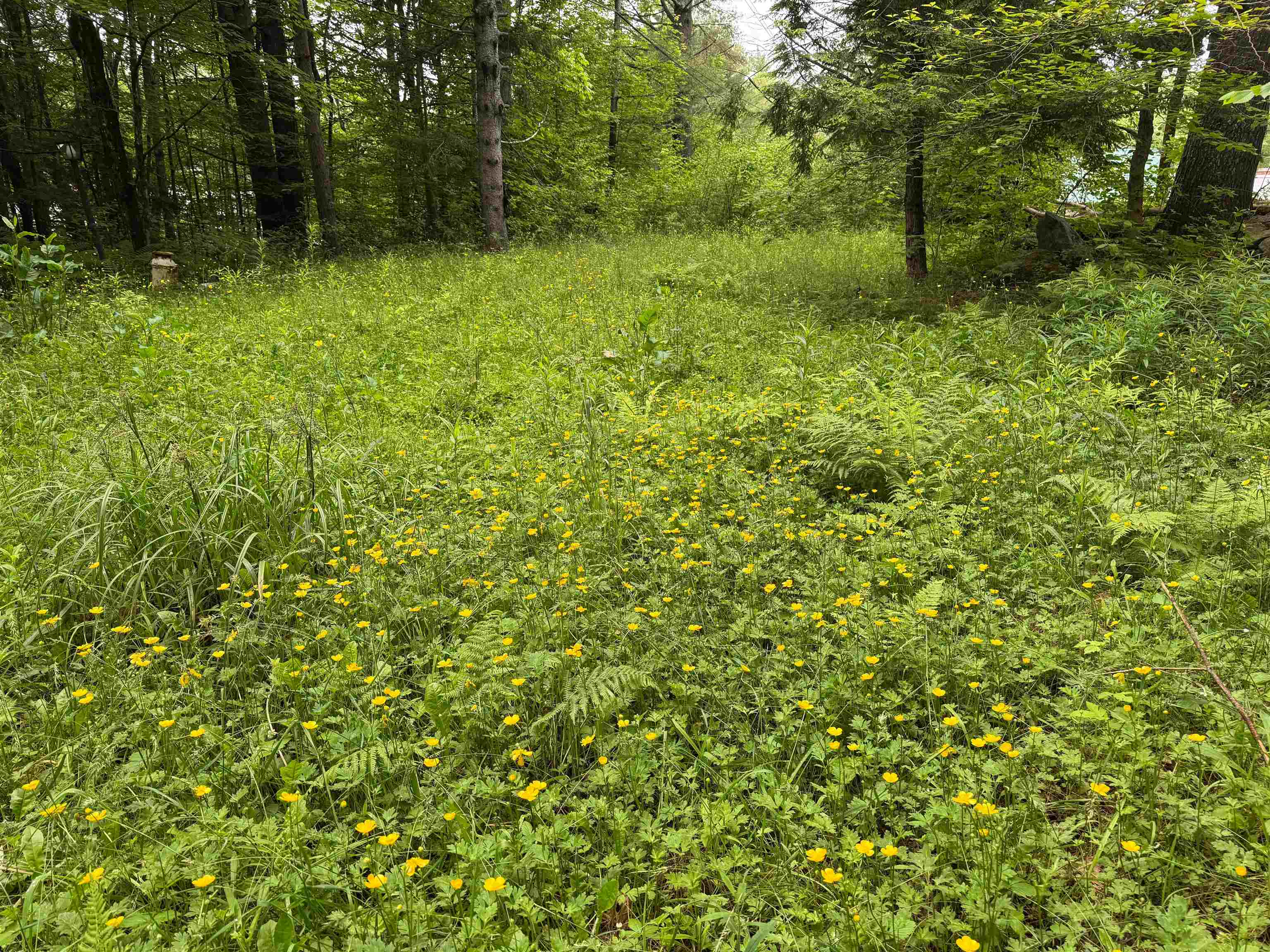 8 Brickyard Road Dover, VT 05341 - Photo 5 of 17